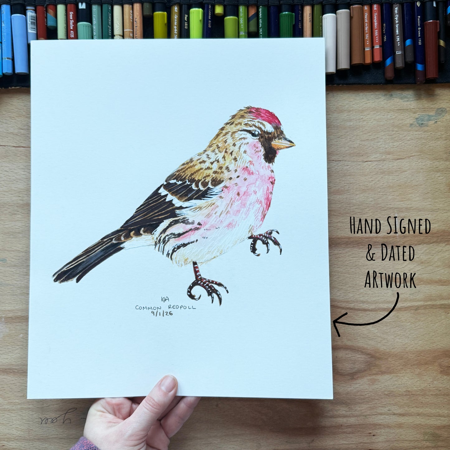 Hand-signed and dated common redpoll bird artwork on white paper being held over a wood desk with art materials in the in the background.