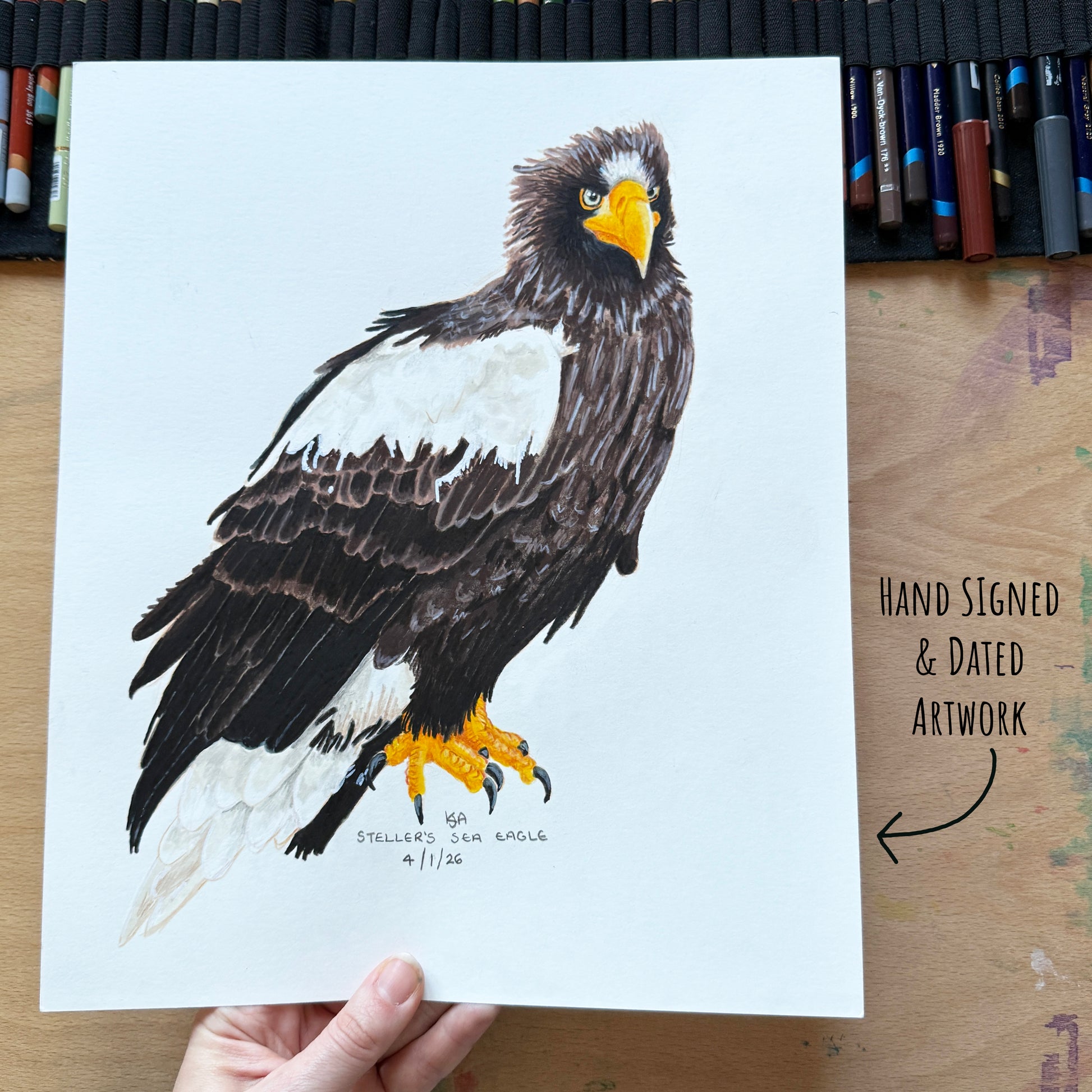 Hand-signed and dated artwork of a Steller's sea eagle on a white sheet, held by a hand on a wooden surface with pencils in the background.