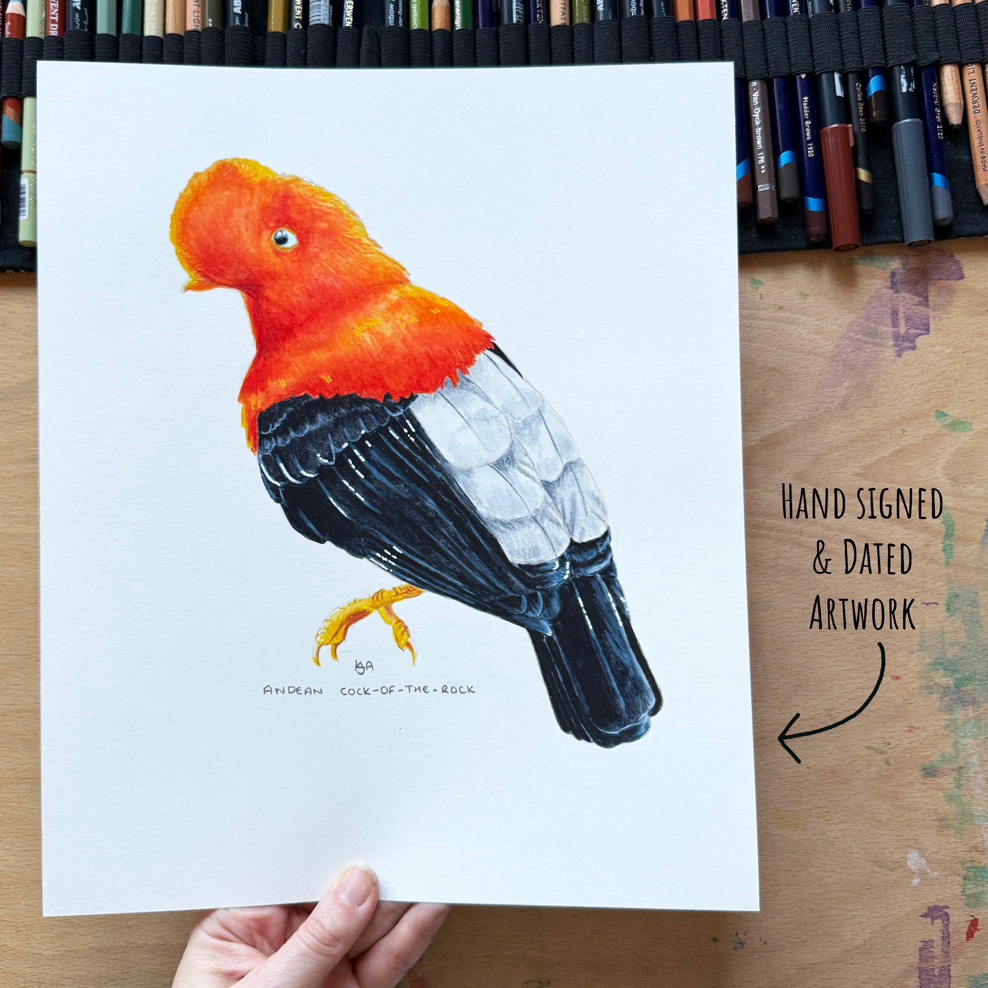 A hand holds a white artwork featuring a colourful bird illustration with a bright orange-red head, black and white wings, and yellow legs. The painting is photographed on a wooden table with coloured pencils visible in the background, and handwritten text on the right says 'HAND SIGNED & DATED ARTWORK'.