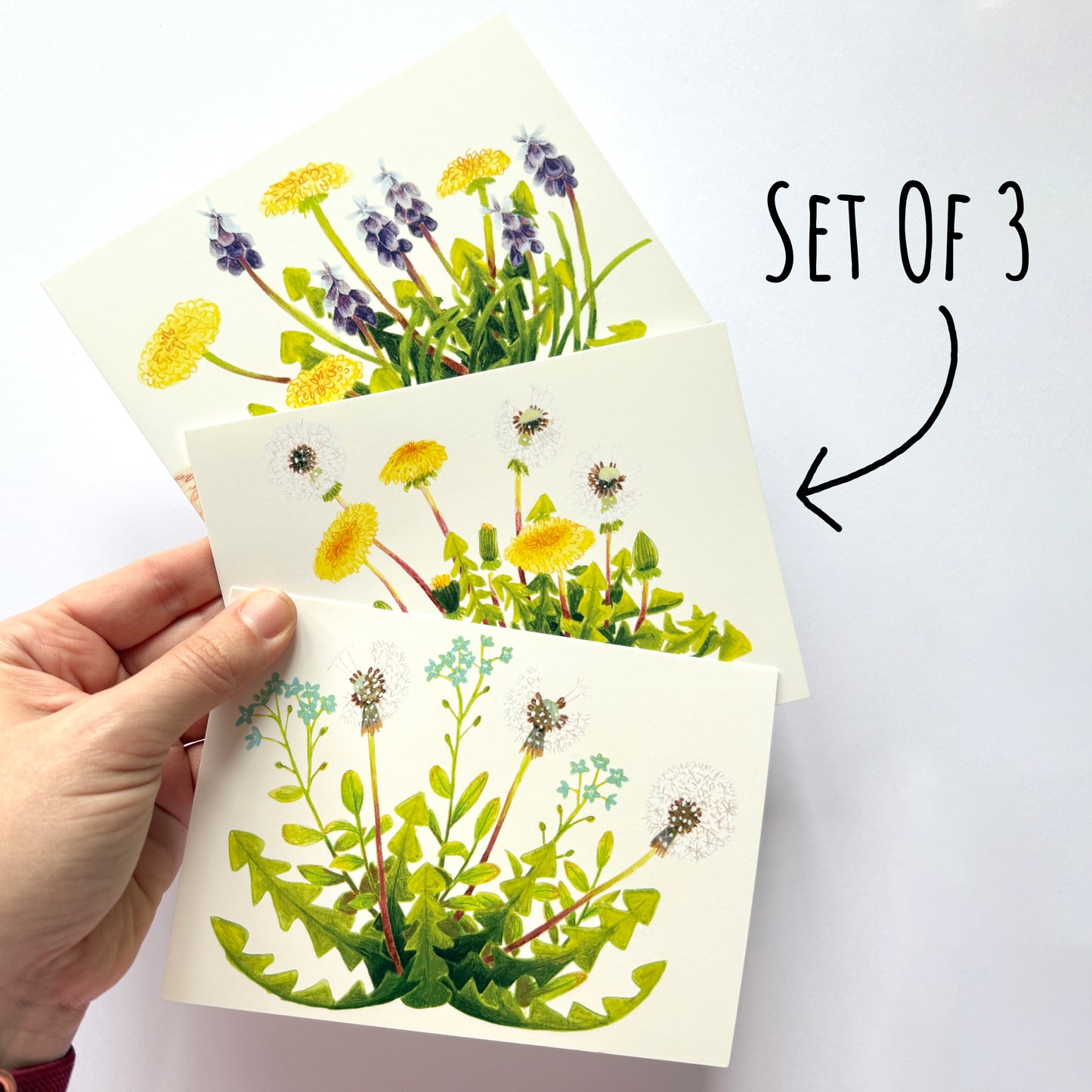 Dandelion Postcard Set - A6 Wildflower Mini Art Prints