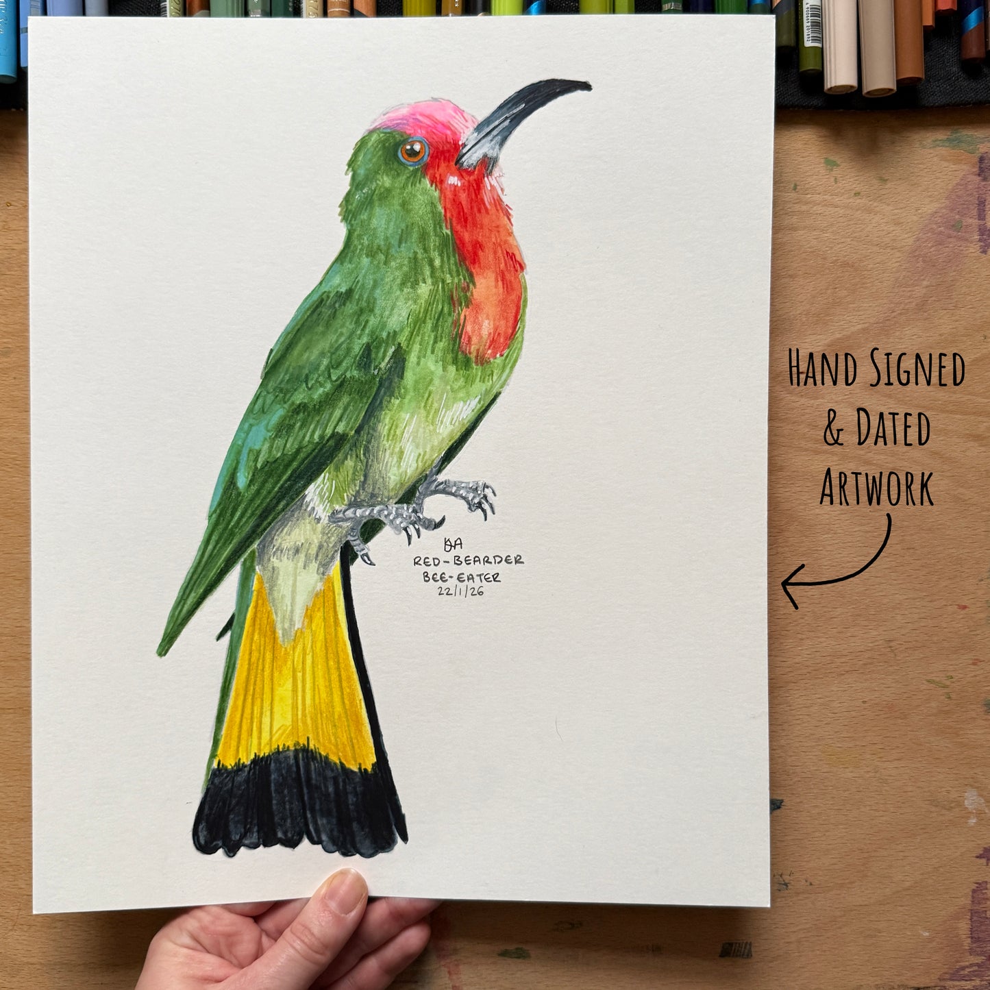 Colourful red-beared bee-eater bird illustration on a white paper held by a hand, with text indicating it's hand-signed and dated. be held over a wooden surface with art supplies in the background.