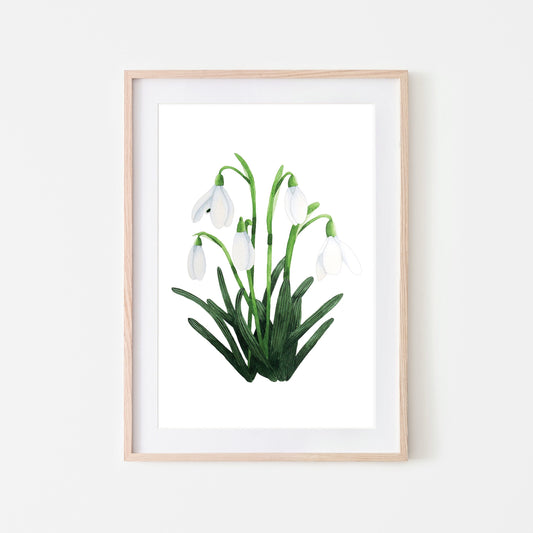 Snowdrop Art Print - A4 Unframed Botanical Watercolour Illustration
