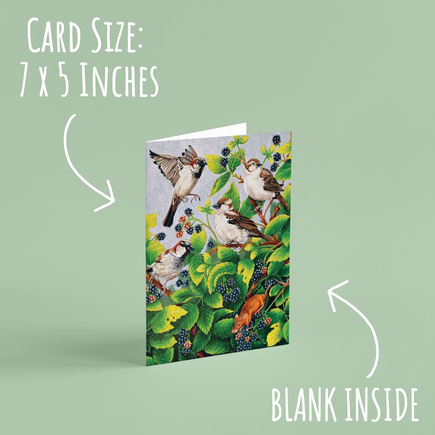 House Sparrow Birthday Card - Nature Inspired Greeting Card