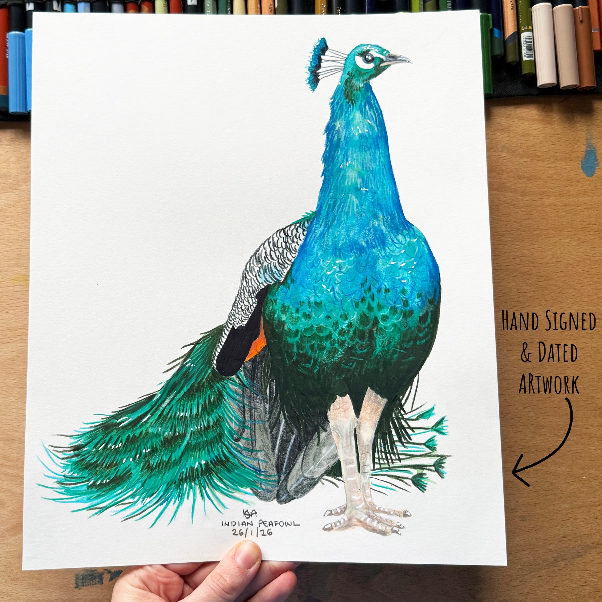 Hand-signed and dated peacock artwork on a white sheet held by a hand over a wooden background with art supplies