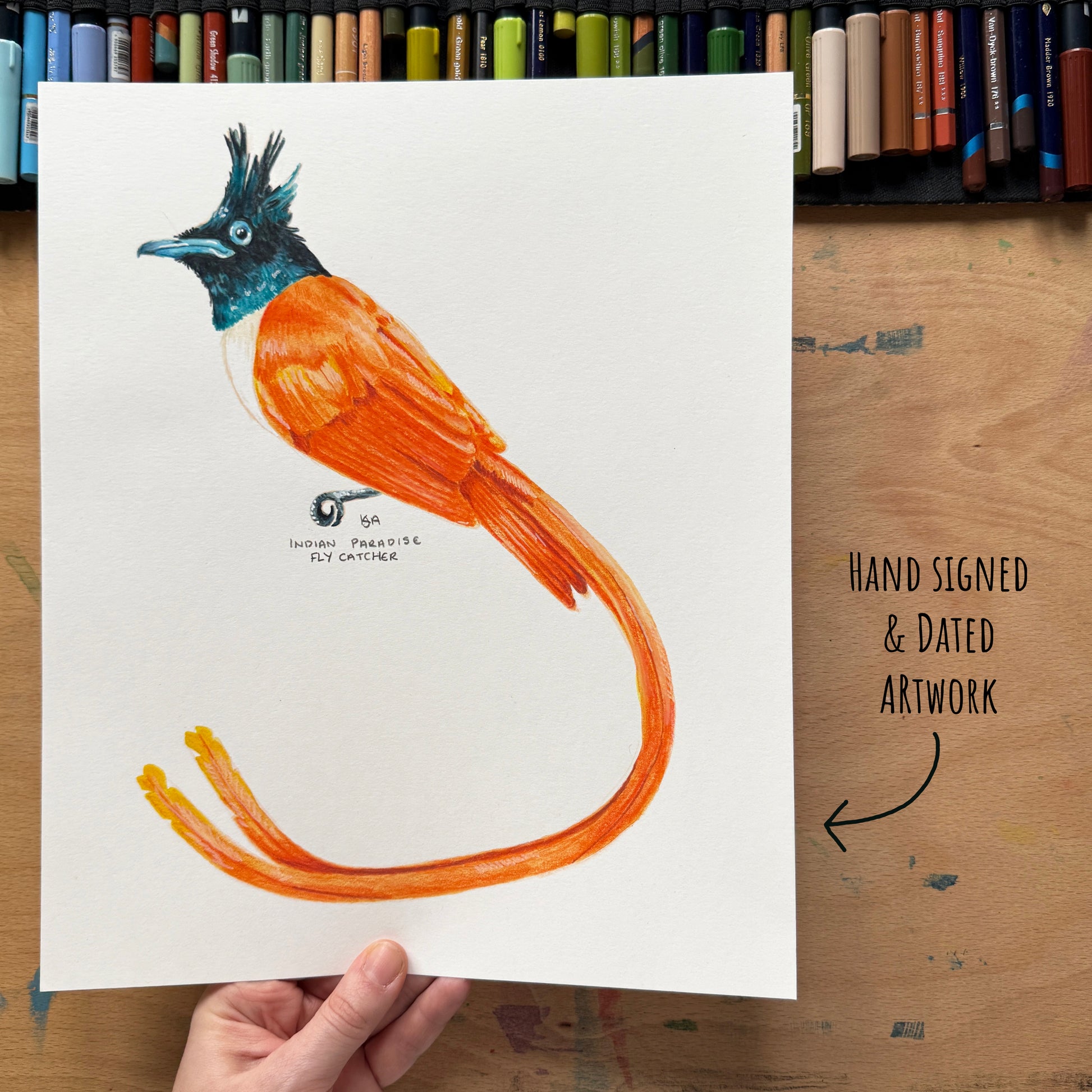 Hand-signed and dated artwork of a colourful Indian Paradise flycatcher  bird held by a hand on a wooden surface with art materials  in the background.