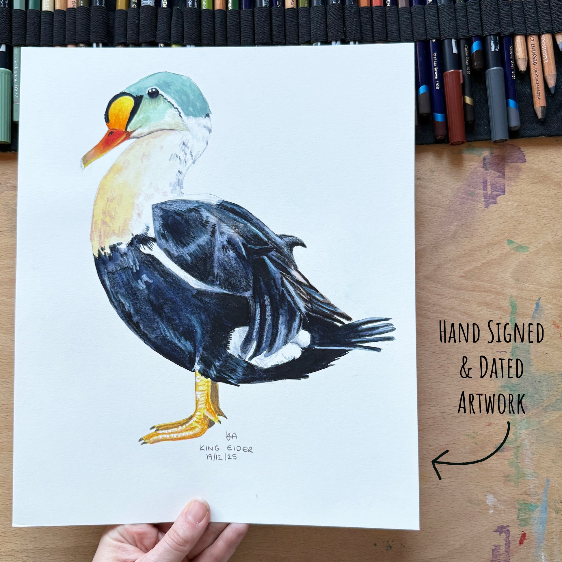 Hand-drawn artwork of a King Eider Duck held by a hand on a wooden surface with art supplies.