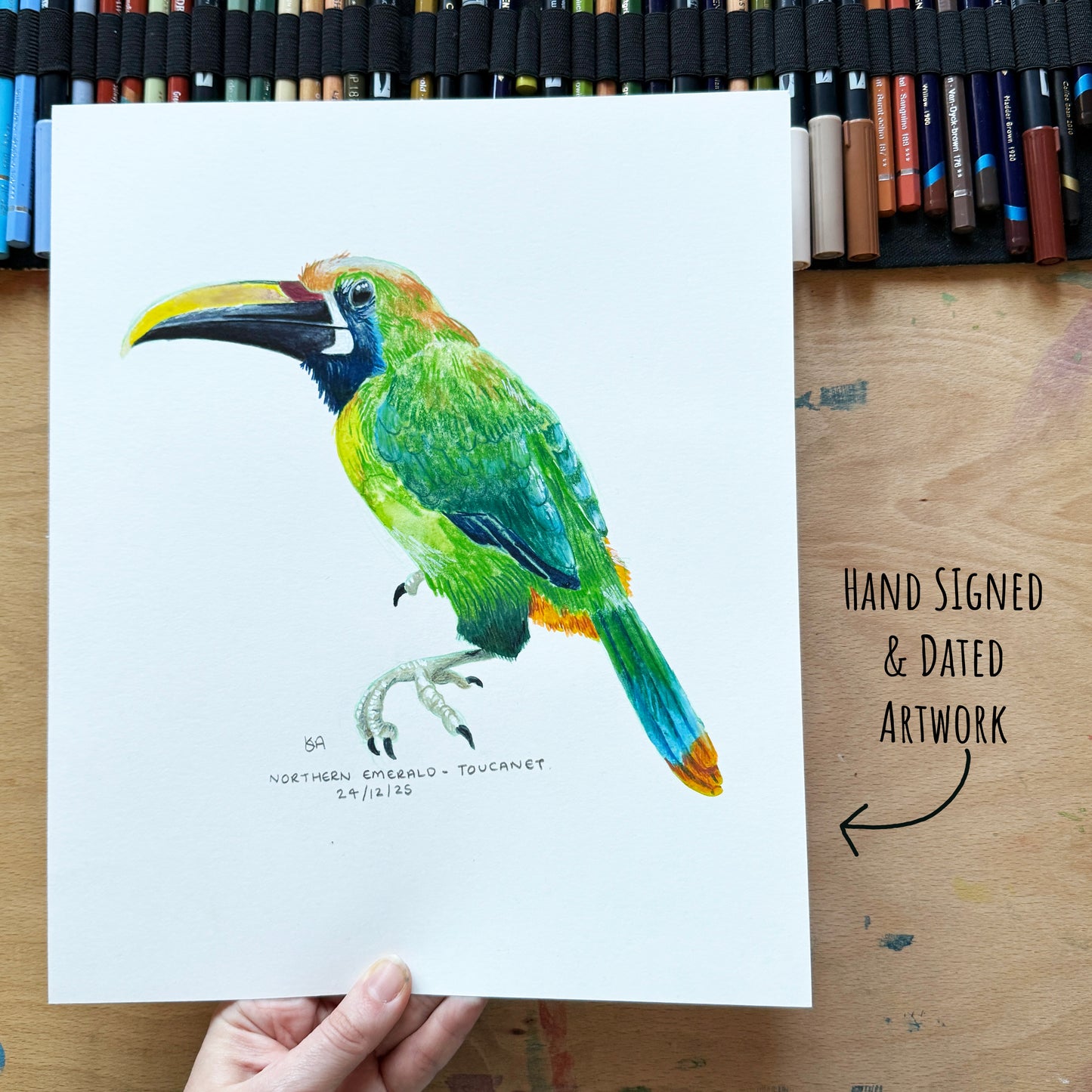 Hand signed and dated artwork of a Northern Emerald Toucanet bird bing held by a hand over a wooden surface with pencils in the background.