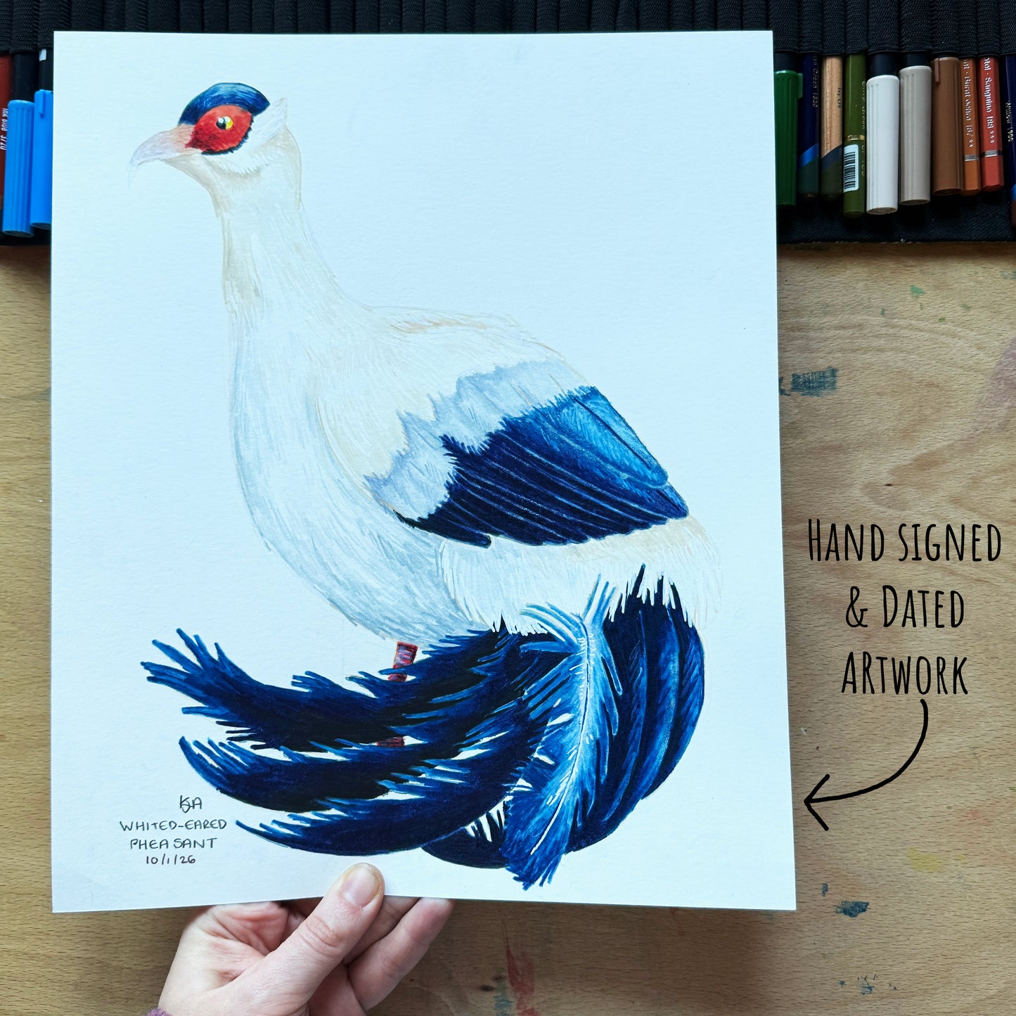 Hand-signed and dated artwork of a blue and white, white eared pheasant bird on a wooden surface with art materials in the background.
