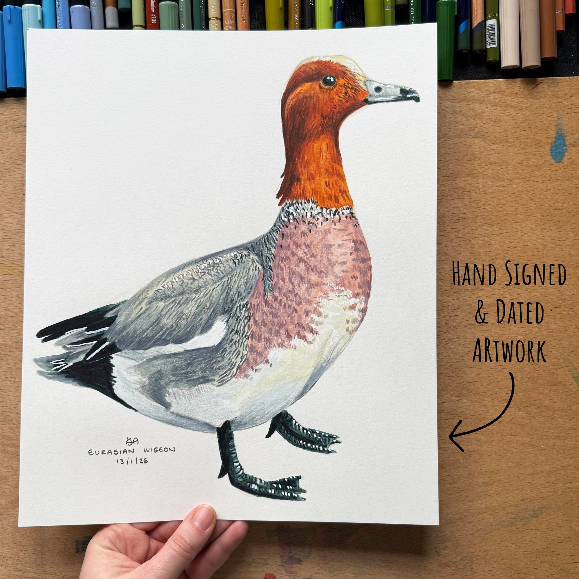Hand-signed and dated artwork of a  wigeon duck on a white sheet held by a hand, with a wooden surface and art materials in the background.