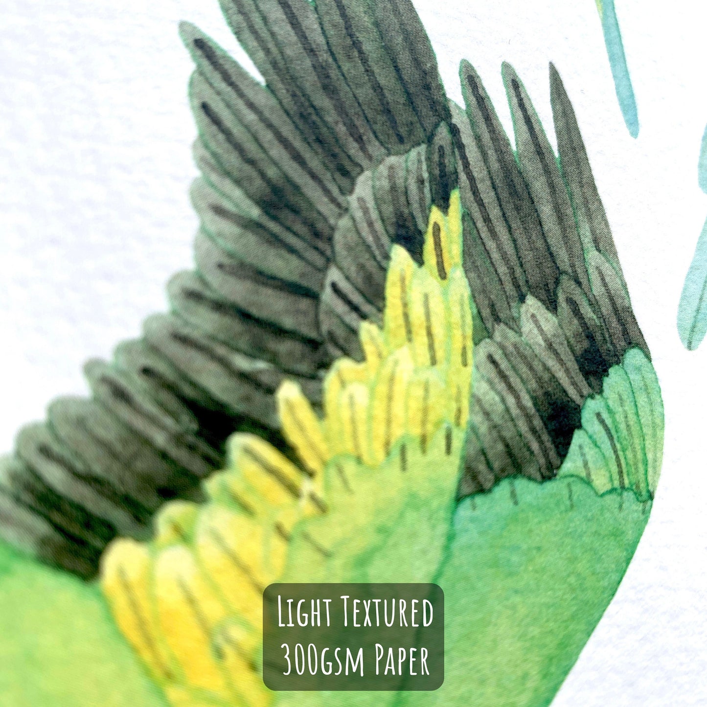 Green Indian Ringneck Parakeet Art Print - Unframed A4 Exotic Bird Illustration