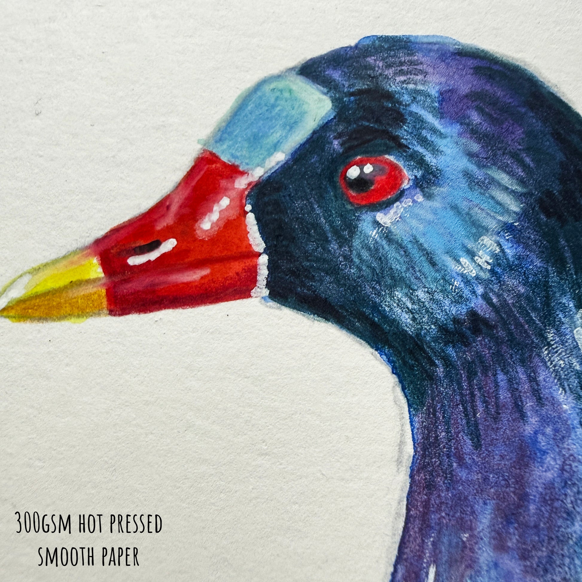 A close up of the the American Purple Gallinule bird artwork. showing the details and textures of the painting.