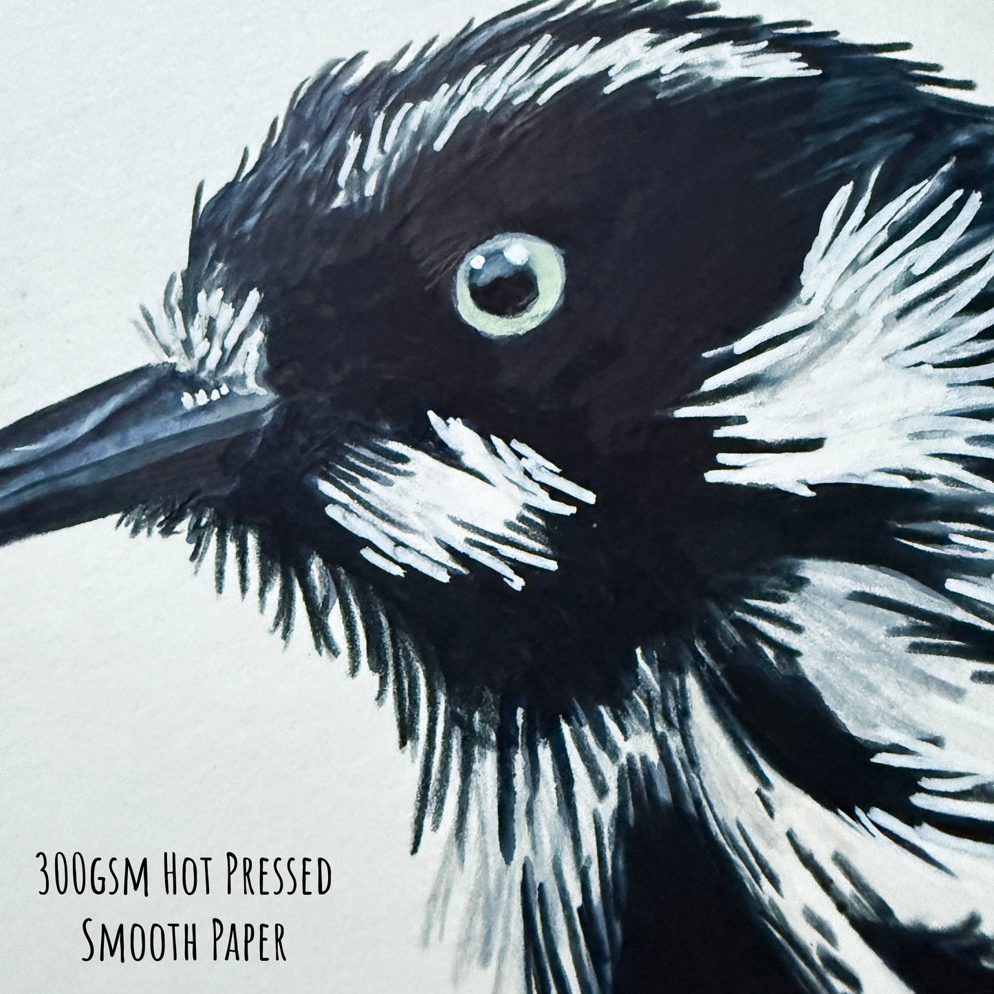 A close of the New Holland Honeyeater bird showing the details and textures of the artwork and paper stock.