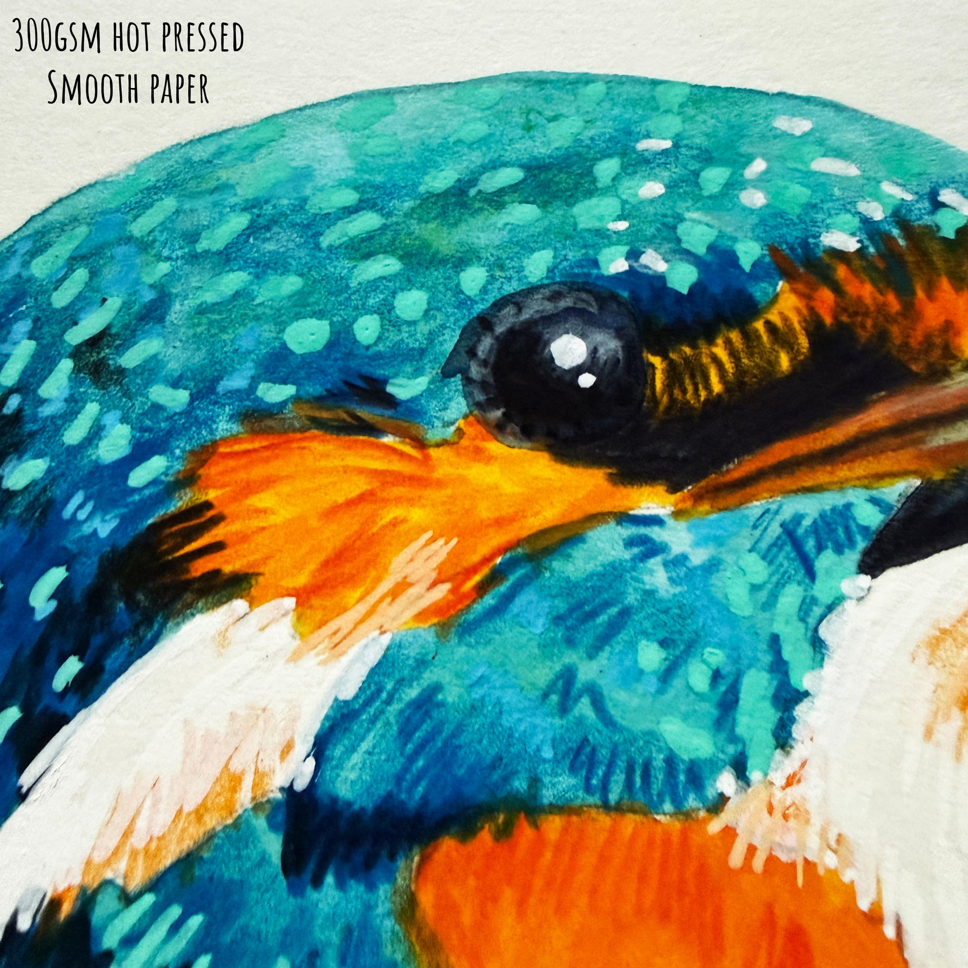 A close of the common kingfisher bird showing the details and textures of the artwork and paper stock.