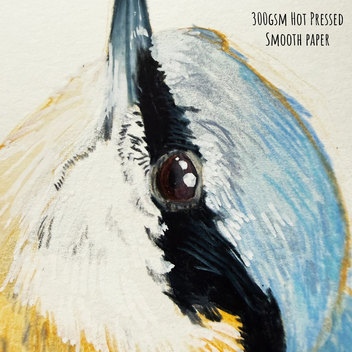 A close of the Nuthatch bird showing the details and textures of the artwork and paper stock.