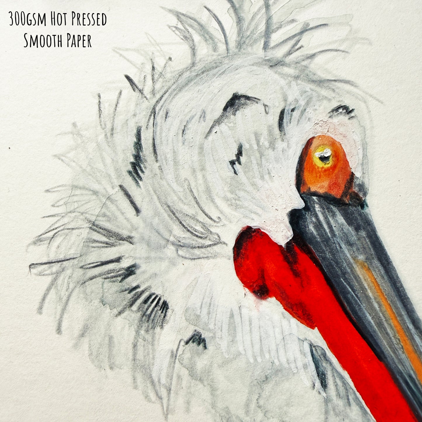 A close of the Dalmatian Pelican bird showing the details and textures of the artwork and paper stock.