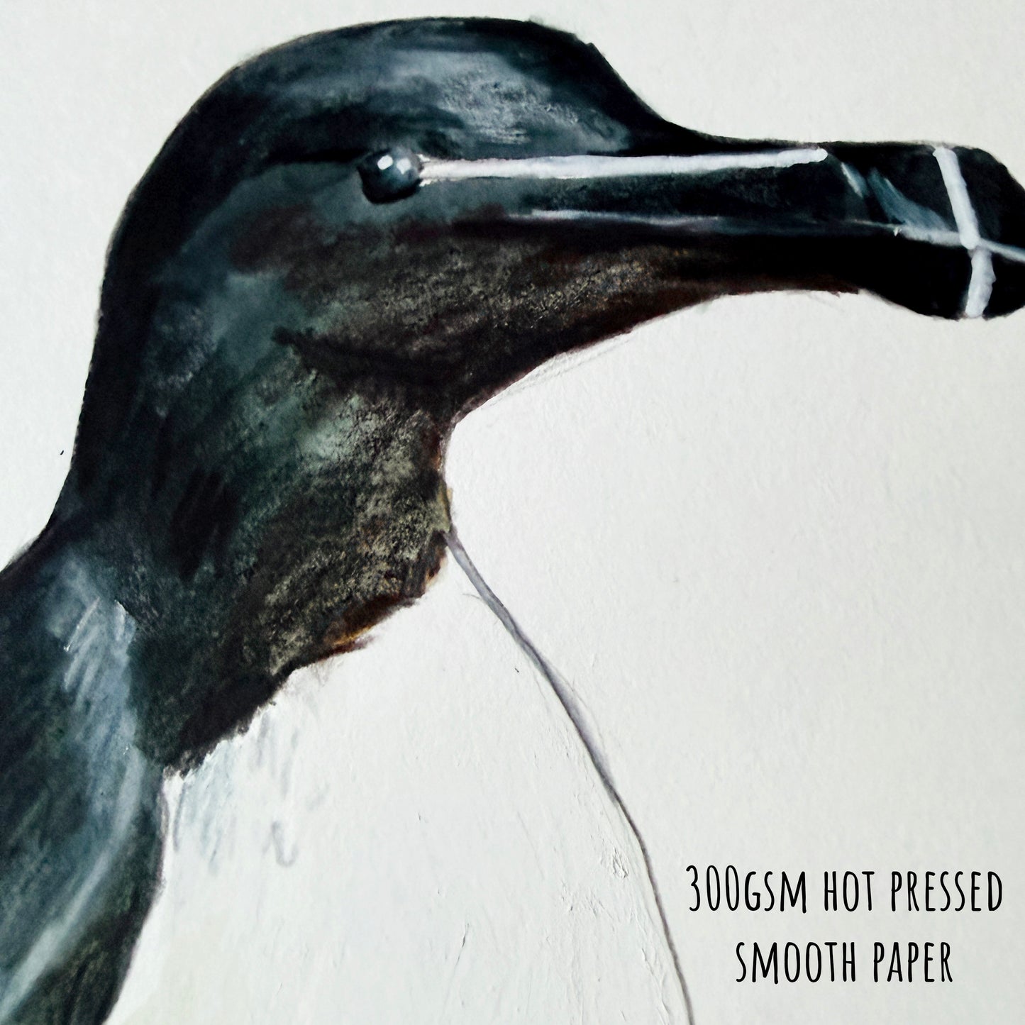 Close-up of a Razorbill bird illustration on 300gsm hot pressed smooth paper