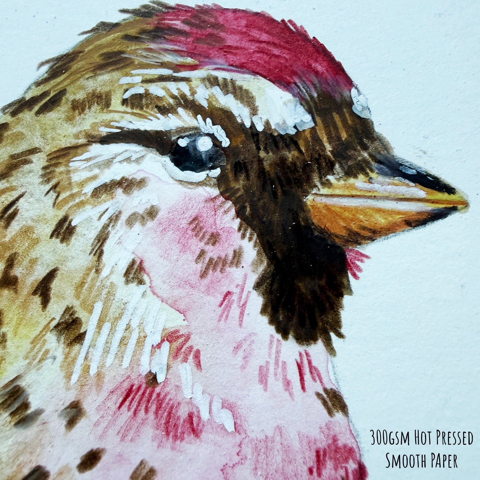 A close up of the common redpoll bird artwork, showing the details and textures of the art materials and paper stock.