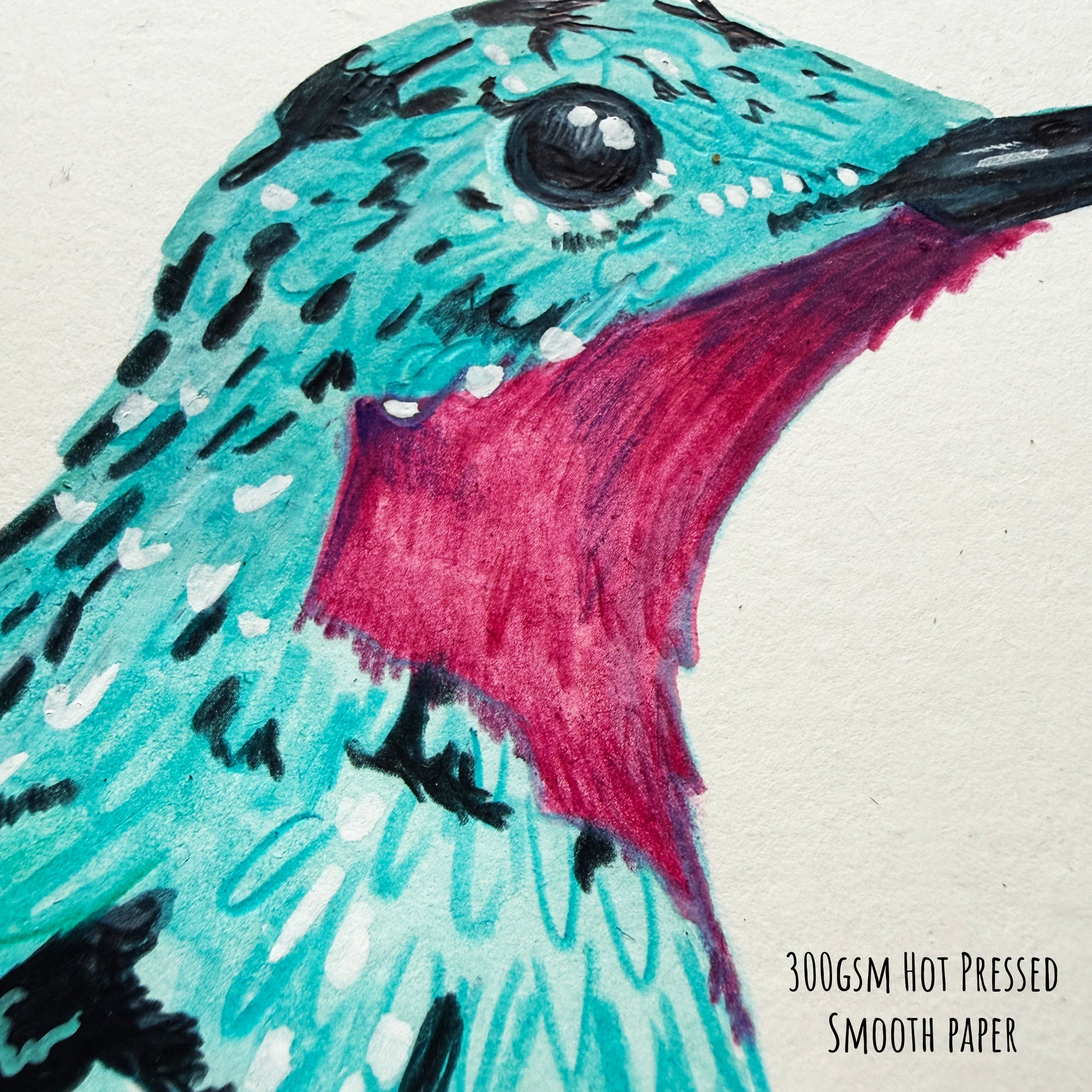A Close up of the Spangled Cotinga Blue bird artwork showing the details and textures of the illustration and paper stock.