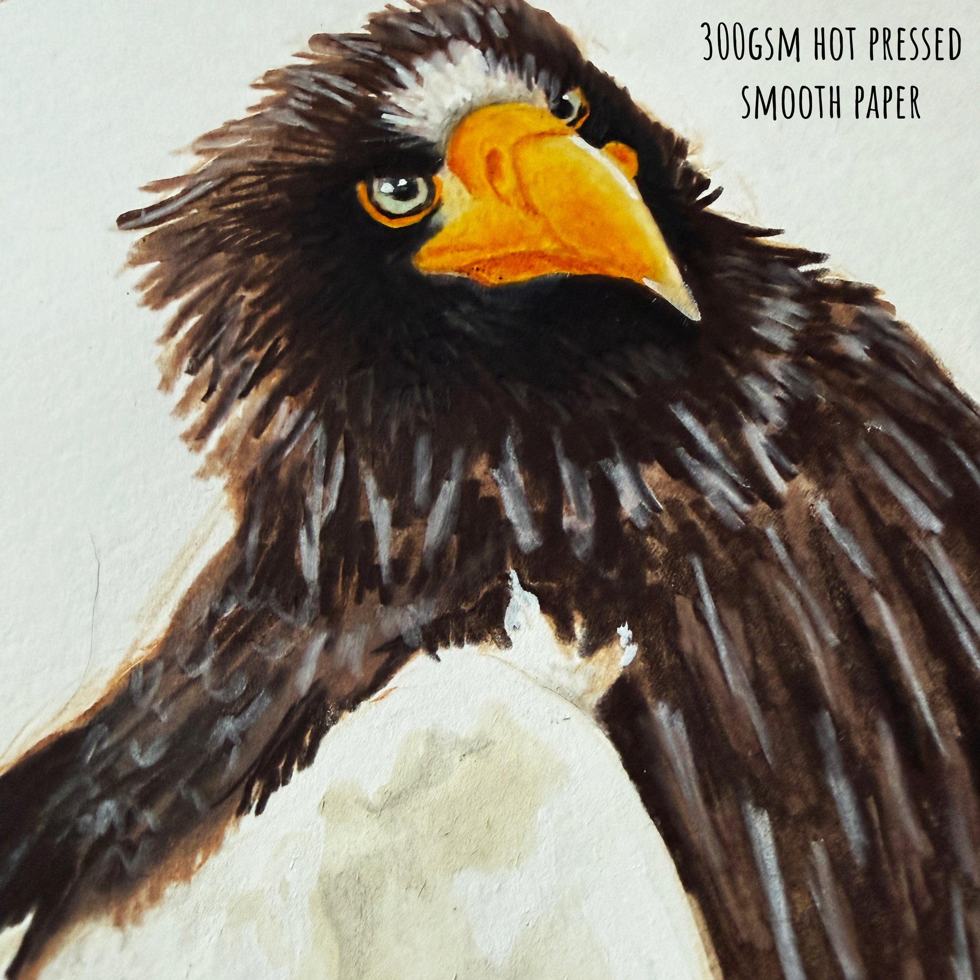 Close-up of a detailed painting of the Steller's sea eagle on smooth paper
