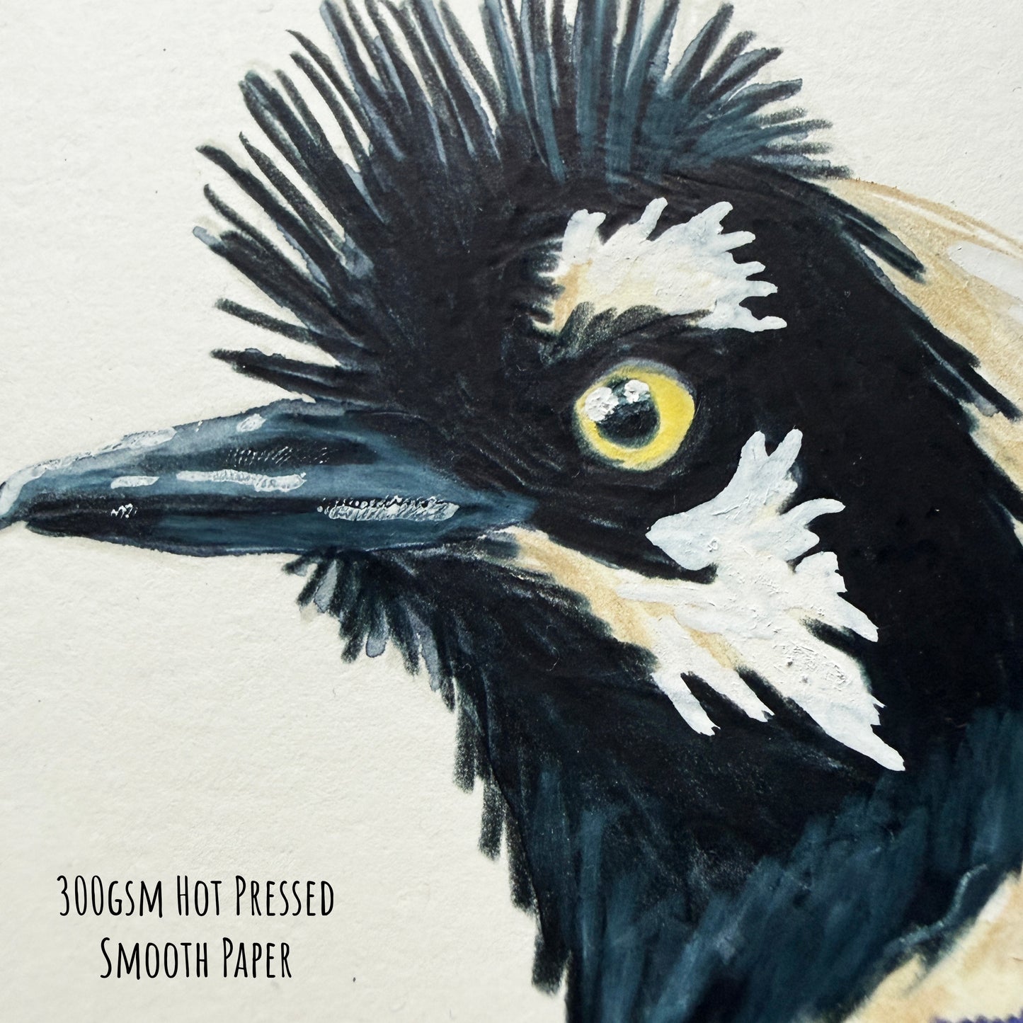 A close of the tufted jay illustration showing the details and textures of the artwork and paper stock.