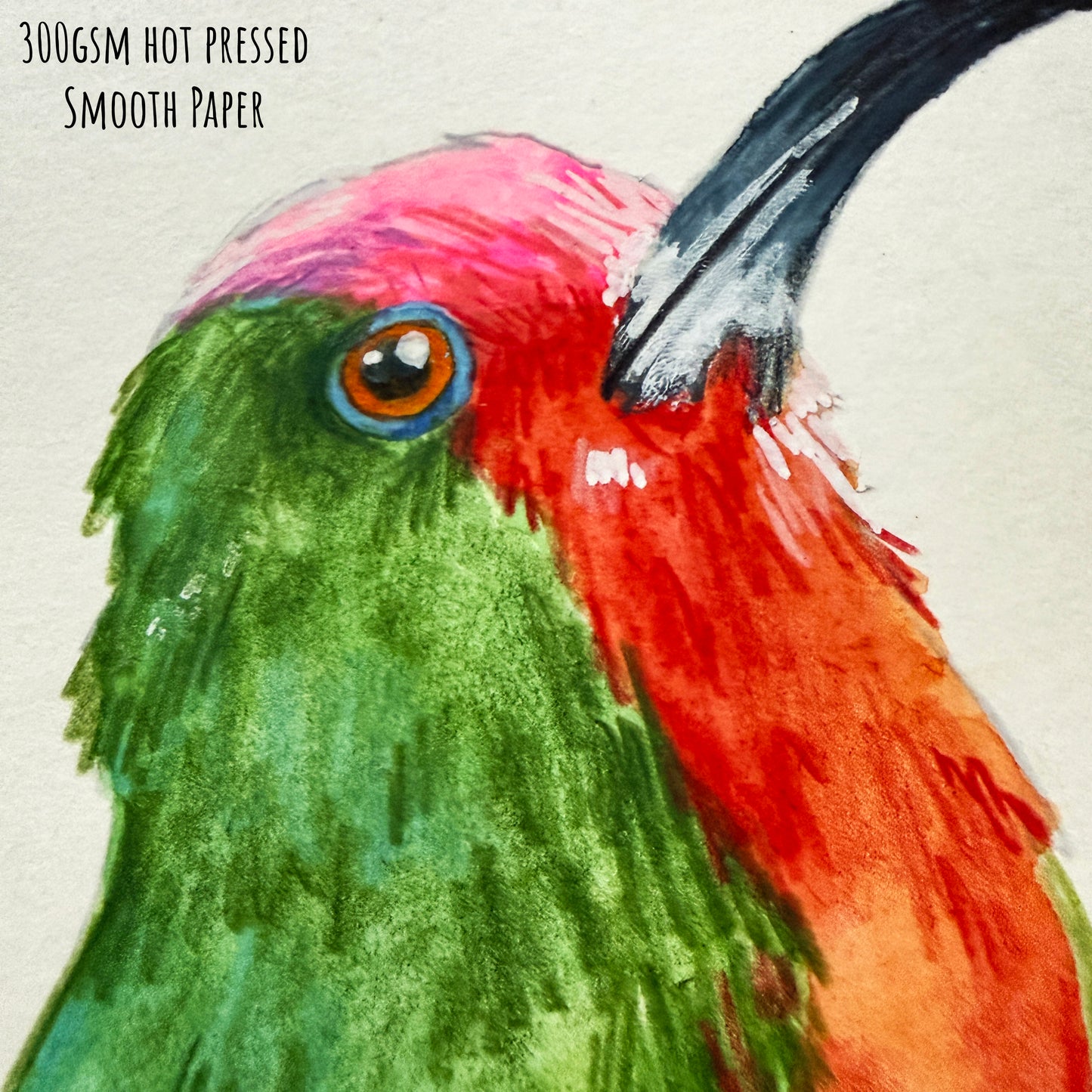 A close of the red-bearded bee-eater bird showing the details and textures of the artwork and paper stock.