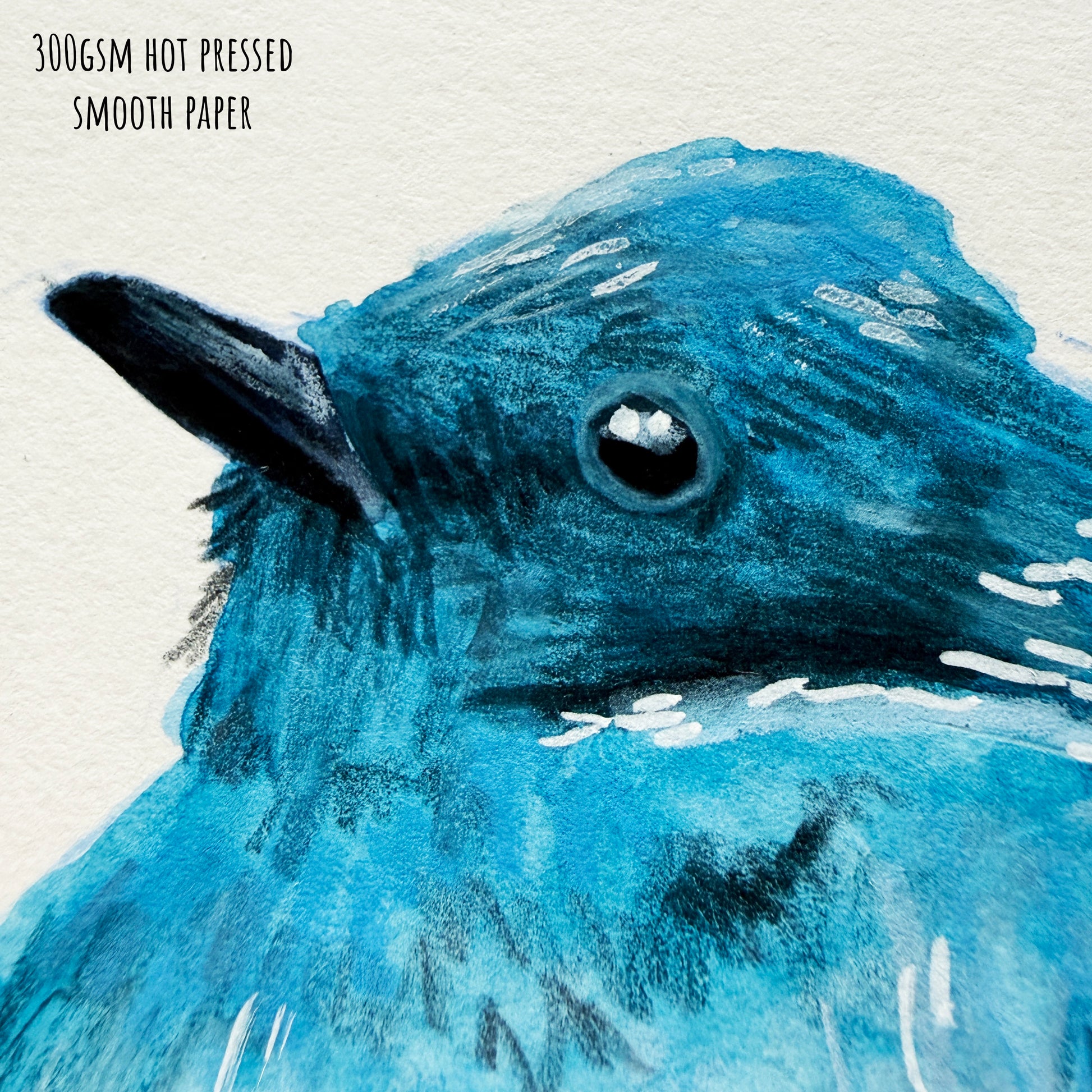Close-up of a blue bird illustration on 300gsm hot pressed smooth paper
