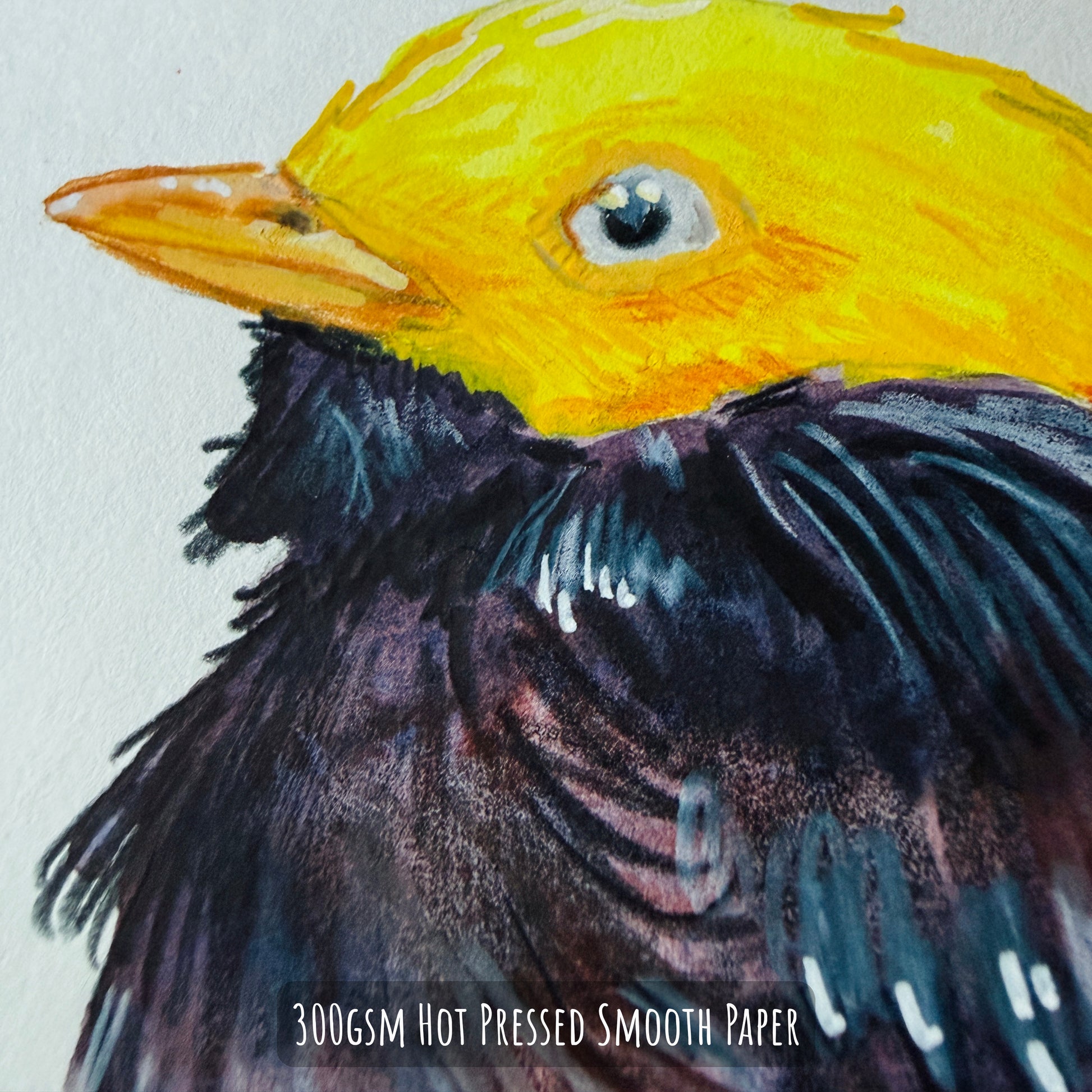 Close-up of a watercolour painting of a Golden-Headed Manakin bird with a yellow head and black body on 300gsm hot pressed smooth paper.