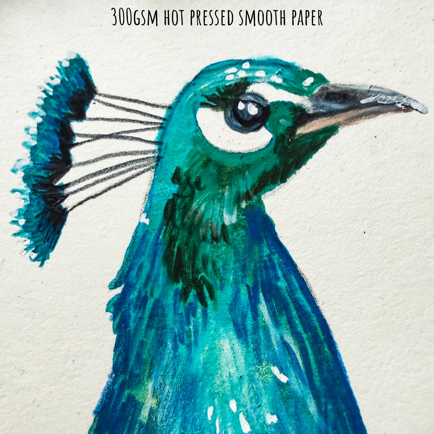 A close of the peacock bird showing the details and textures of the artwork and paper stock.