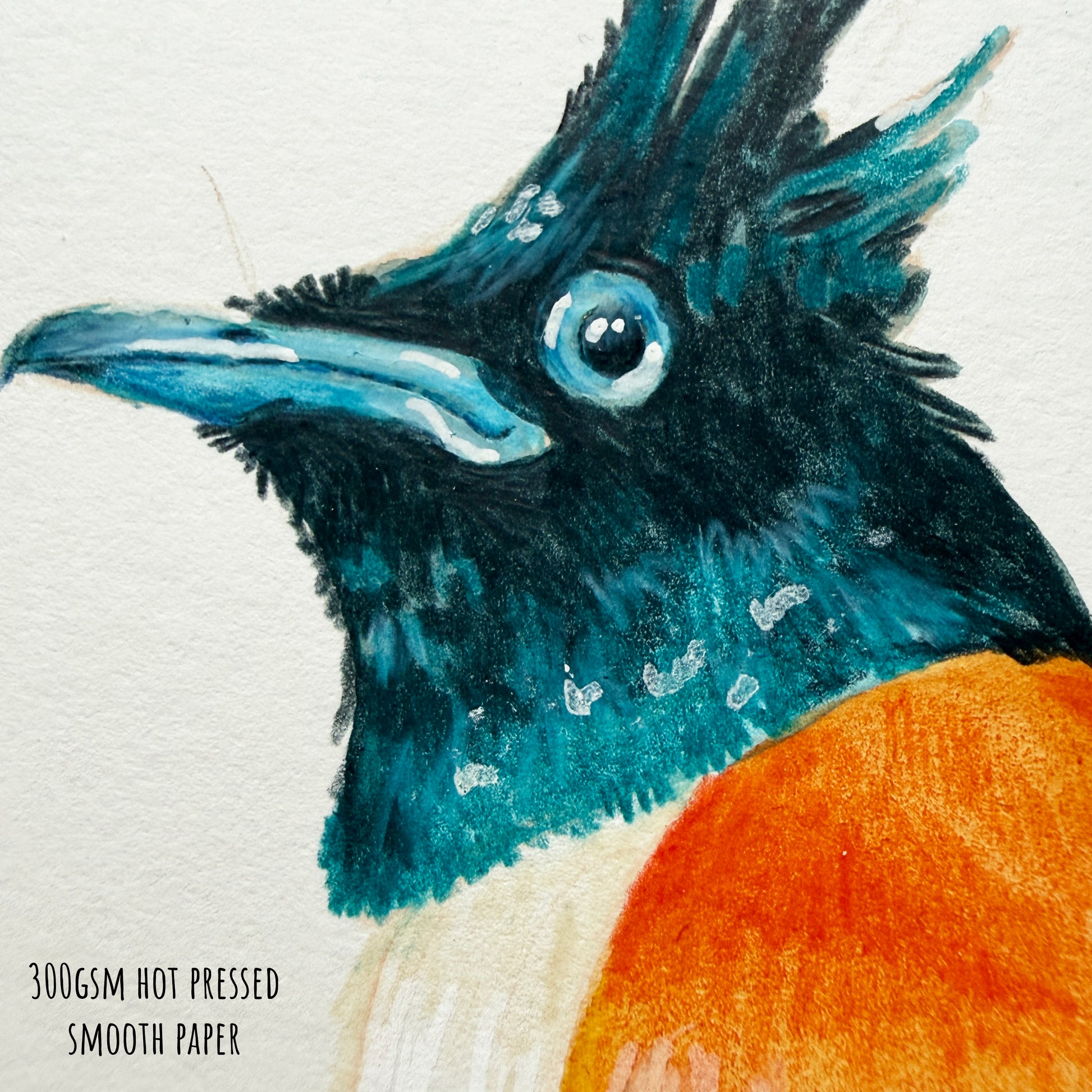 Close-up of a stylised Indian paradise flycatcher bird illustration on smooth textured paper with text indicating paper weight and finish.