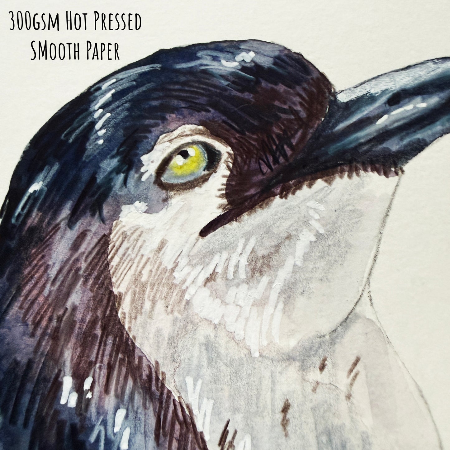 A close of the Little Penguin  bird showing the details and textures of the artwork and paper stock.