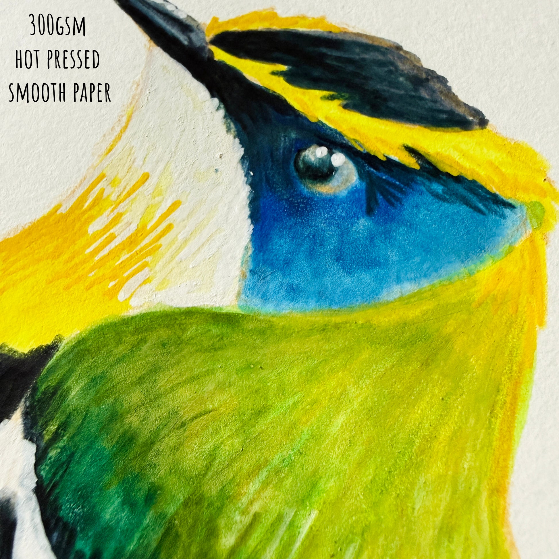 Close-up of a Many-coloured Rush Tyrant bird painting on 300 GSM hot pressed smooth paper. Showing the details and textures.