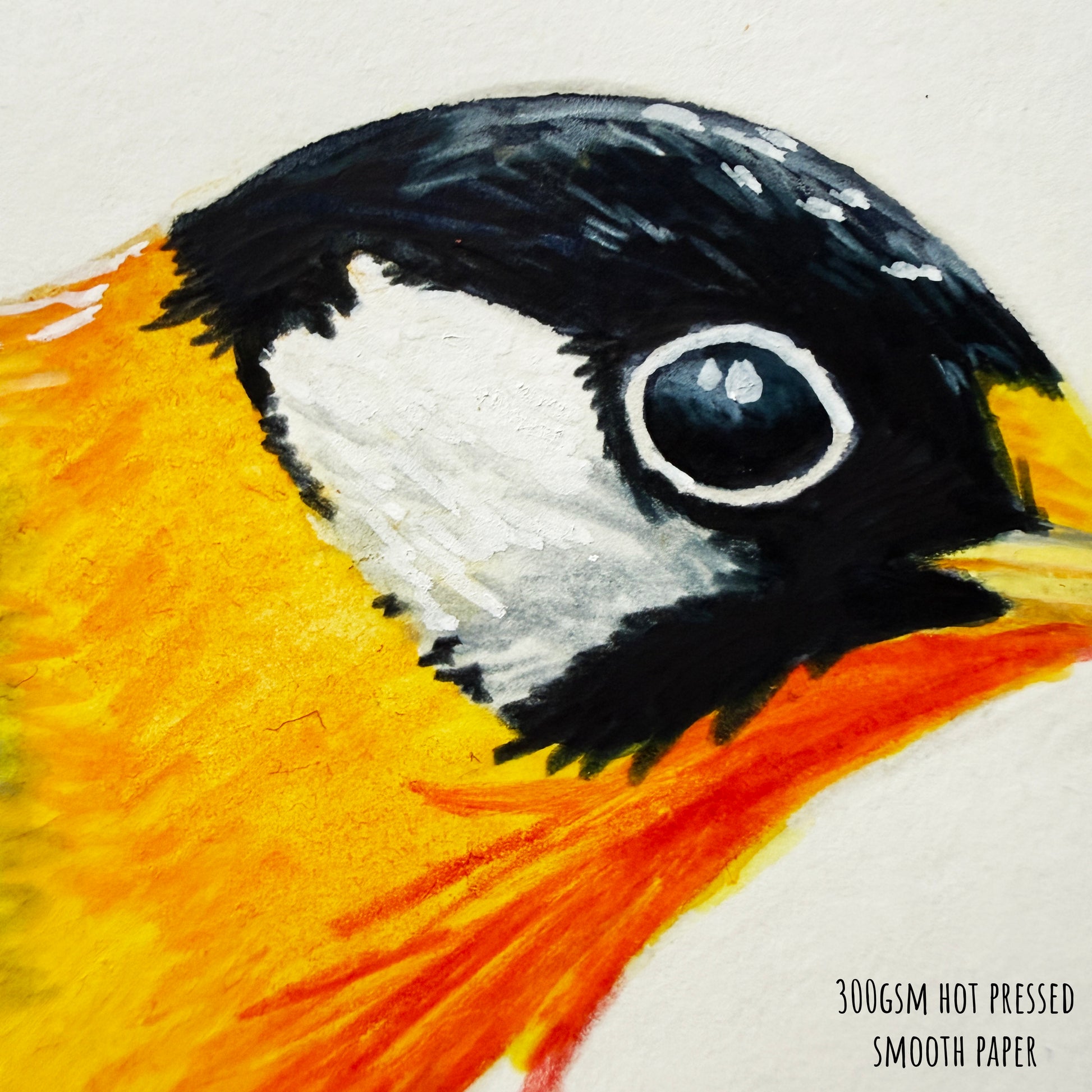 A close up  of the Sliver Eared Mesia bird original painting showing the details and textures of the art materials used and the paper stock. 