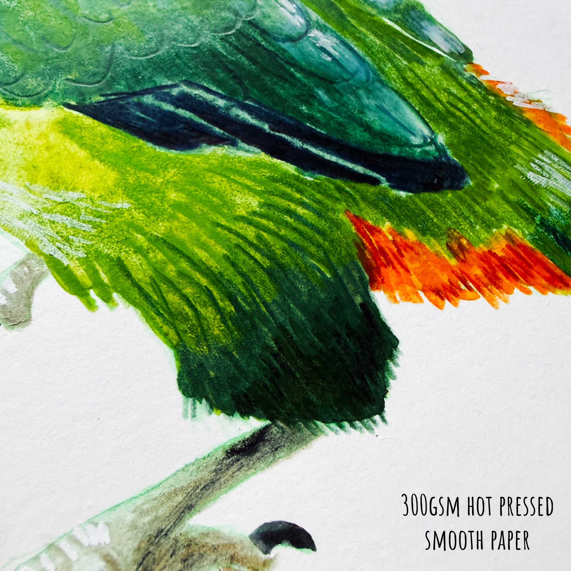 A close up fo the Northern Emerald Toucanet artwork showing the details and textures of the is mixed media artwork.