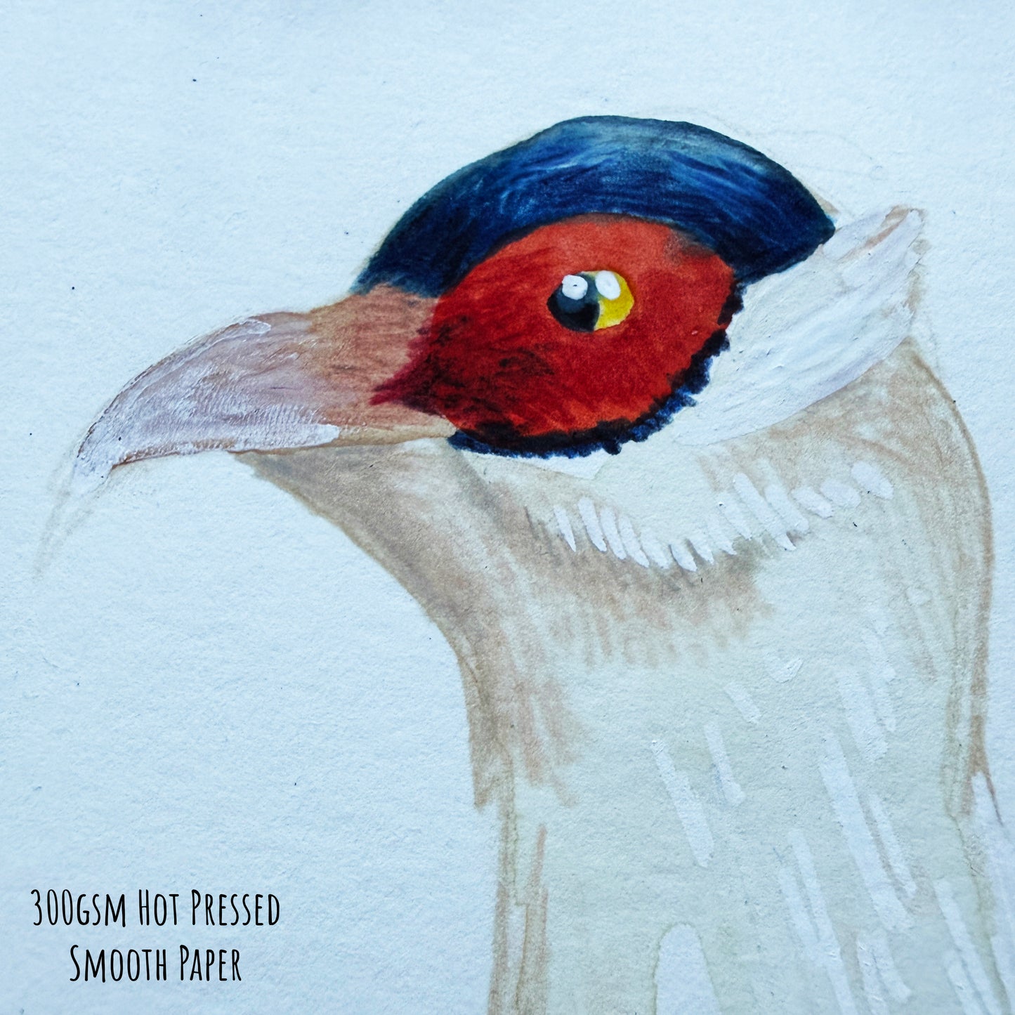A close up of the white eared pheasant artwork. showing the details and textures of the mixed media painting which is on paper.