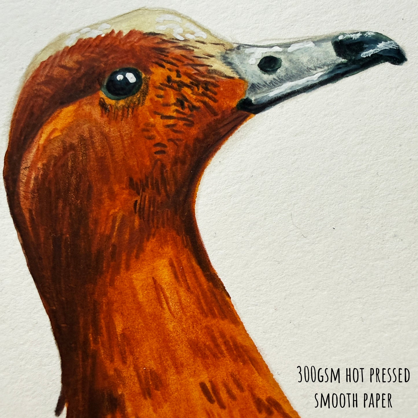 A close up section of the Wigeon Duck artwork showing the textures and details of the artwork and paper stock.