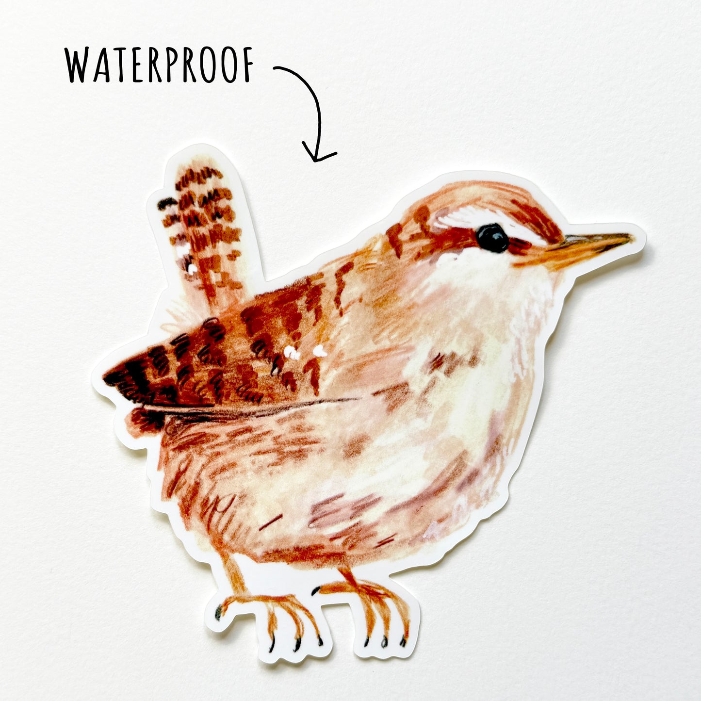 Little Wren Garden Bird Sticker