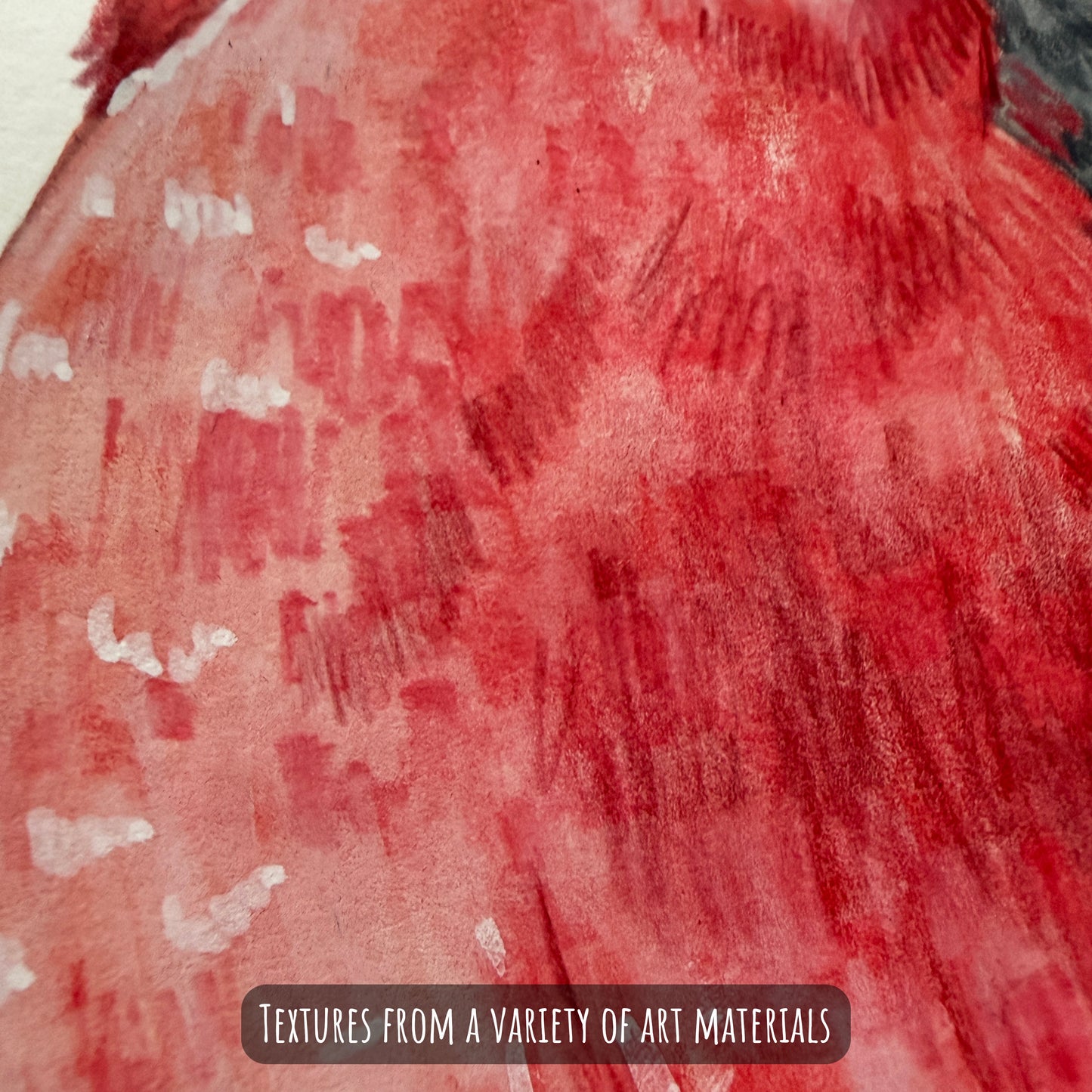 A close of the Galah cockatoo bird showing the details and textures of the artwork and paper stock.