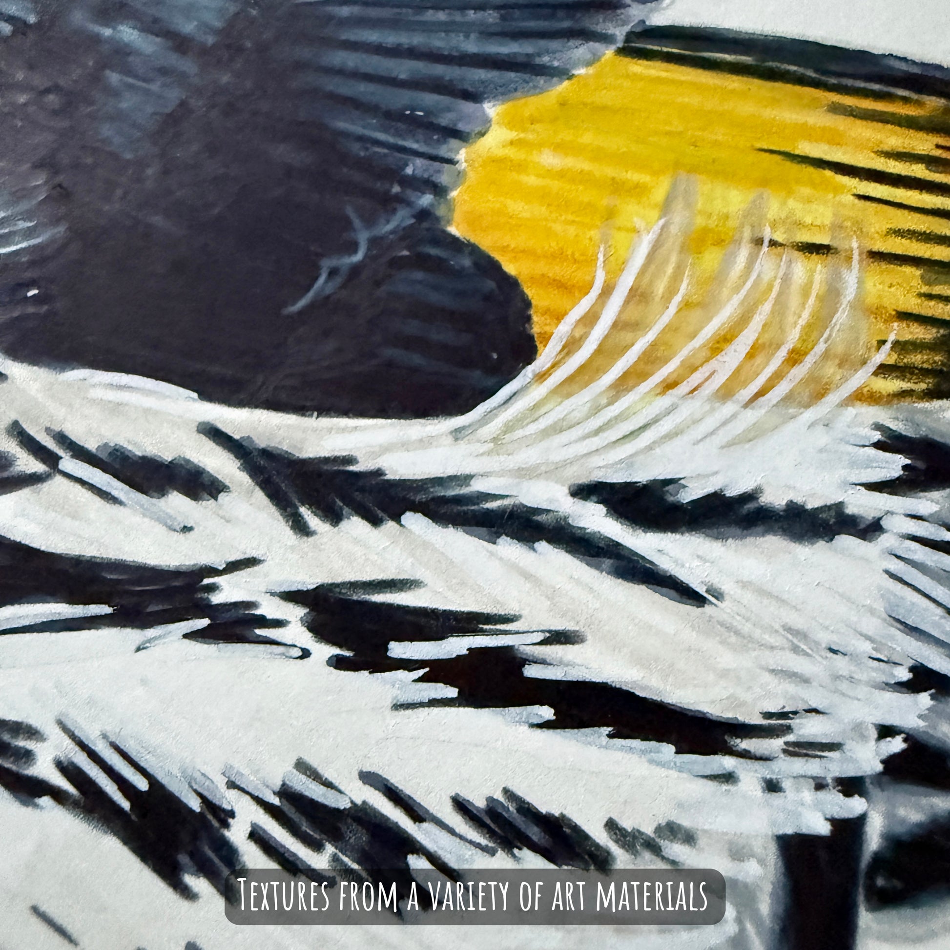 A close of the New Holland Honeyeater bird showing the details and textures of the artwork and paper stock.