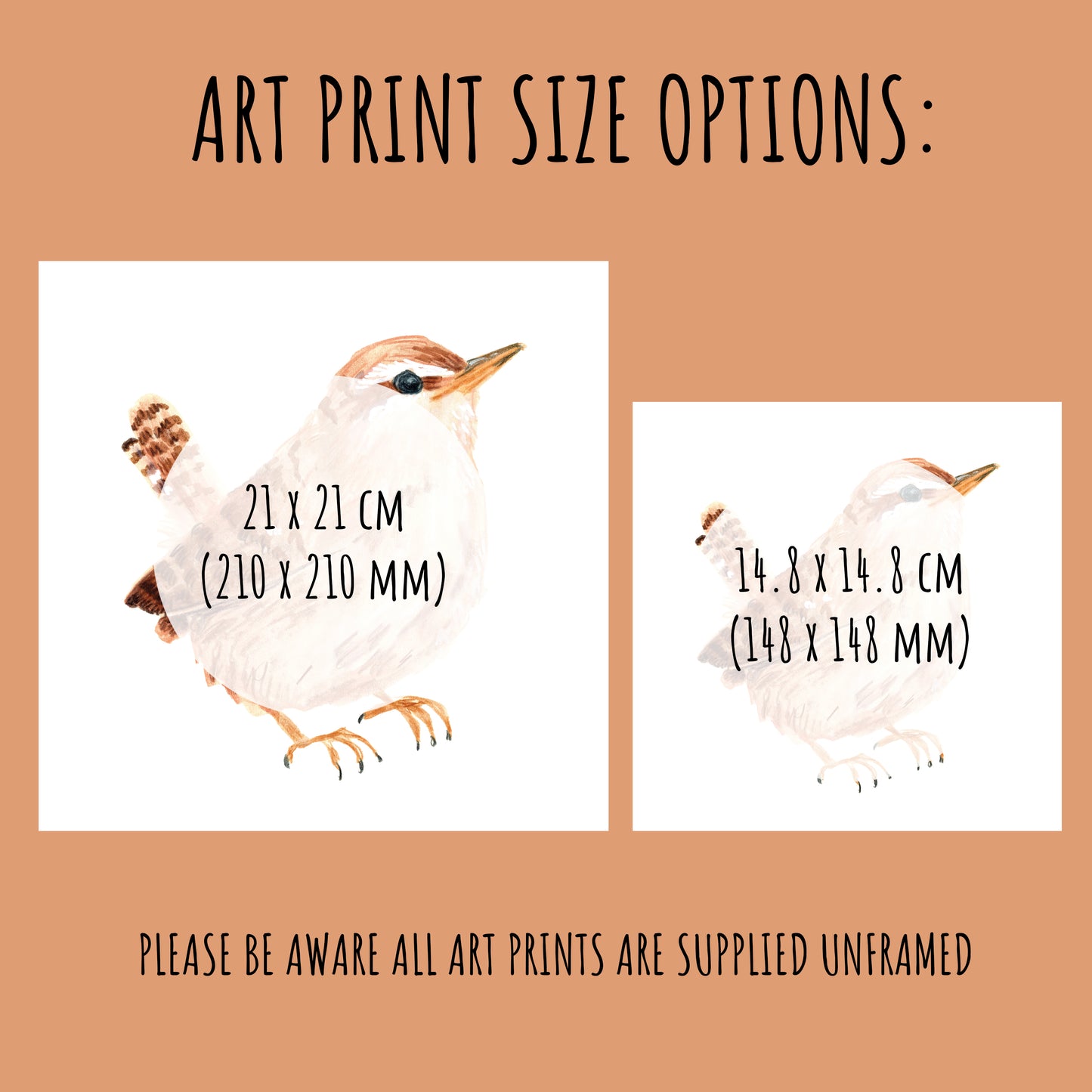 Wren Bird Art Print - Square Unframed Garden Wildlife Illustration