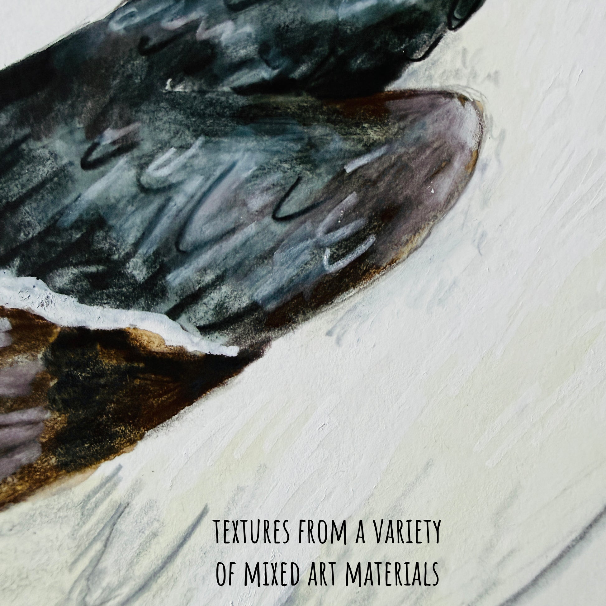 Artistic depiction of feathers of the Razorbill bird artwork (close up) with text 'Textures from a variety of mixed art materials'