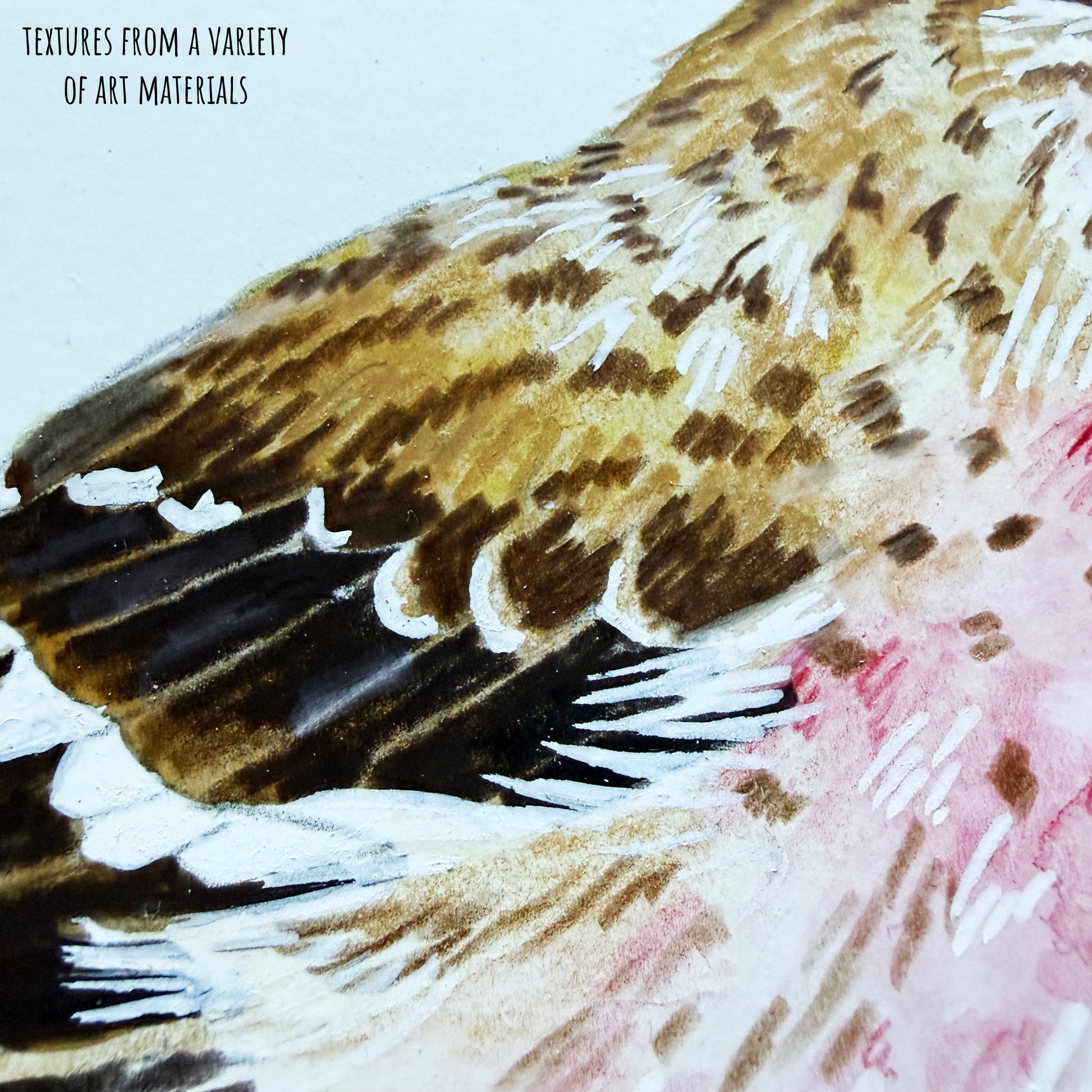 A close up of the common redpoll bird artwork, showing the details and textures of the art materials and paper stock.