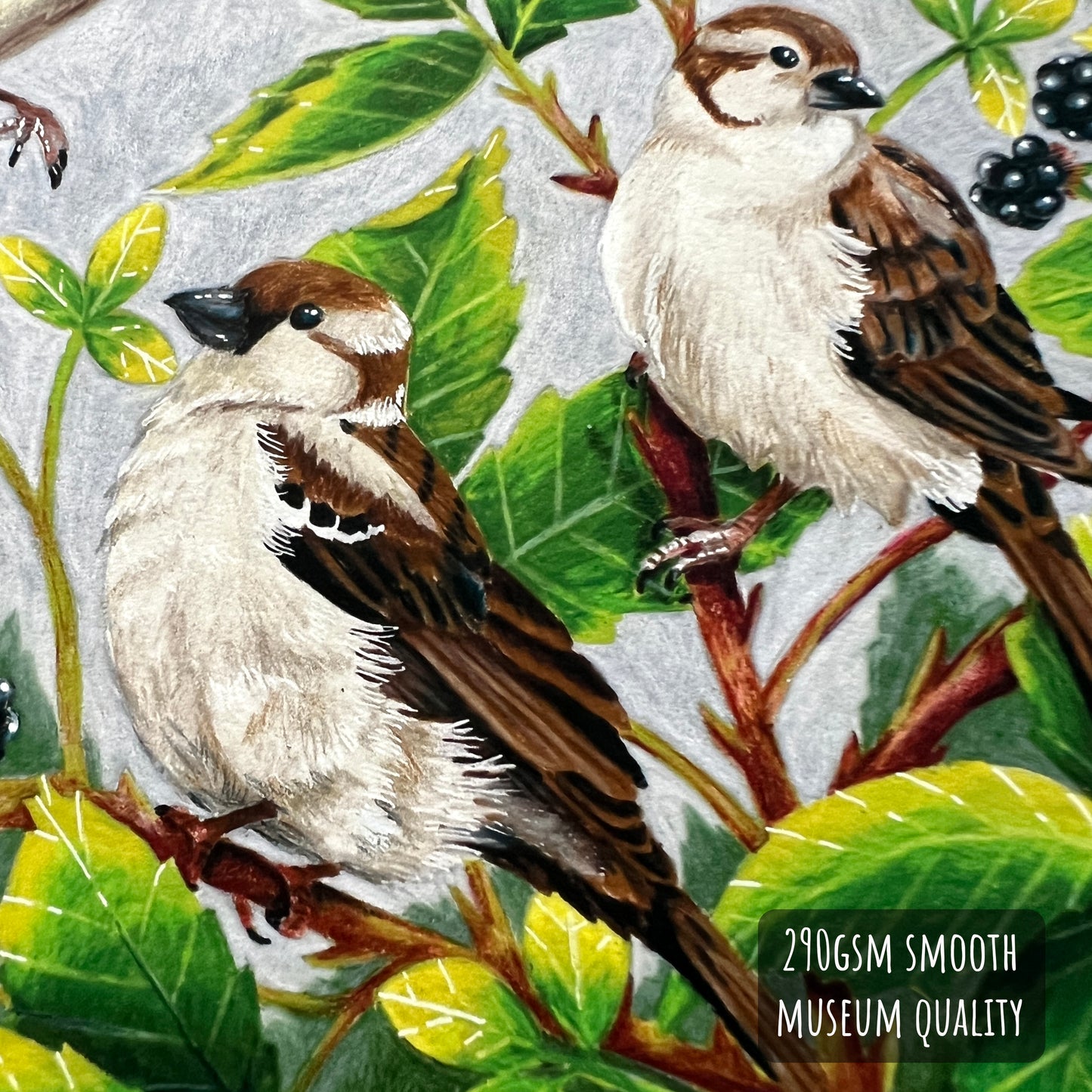 Two birds perched on branches with green leaves and berries, labeled '290GSM SMOOTH MUSEUM QUALITY'.