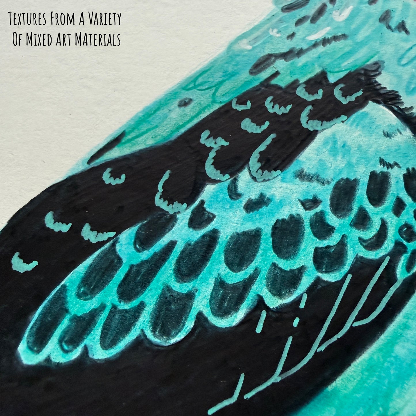 A Close up of the Spangled Cotinga Blue bird artwork showing the details and textures of the illustration and paper stock.