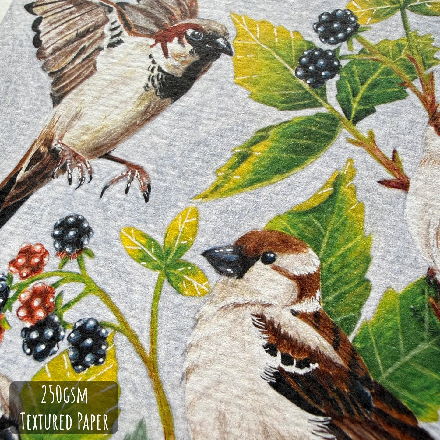 House Sparrow Birthday Card - Nature Inspired Greeting Card