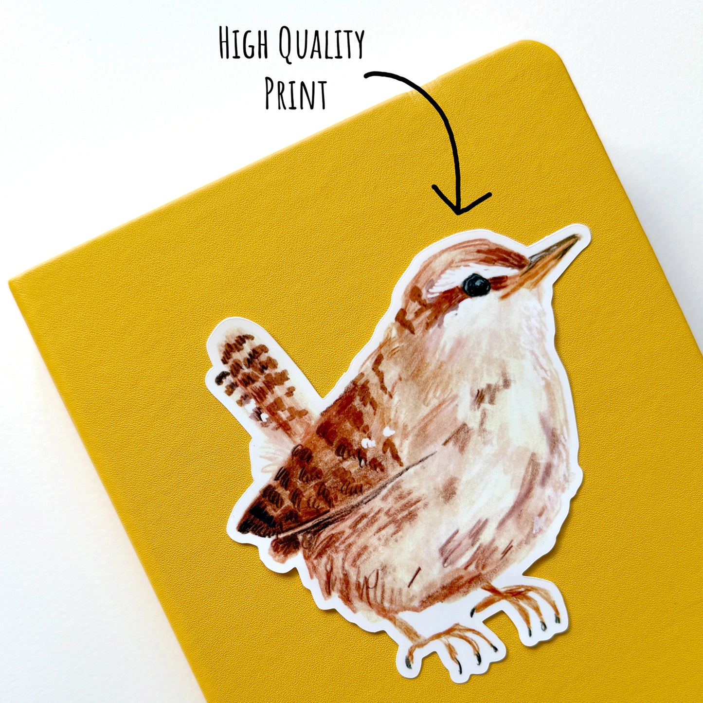 Little Wren Garden Bird Sticker
