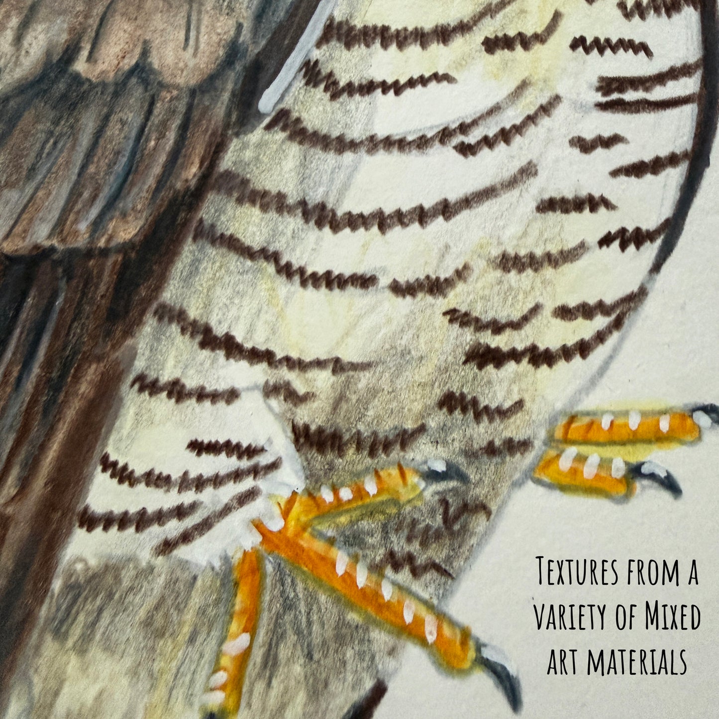 A close of the common cuckoo bird showing the details and textures of the artwork and paper stock.