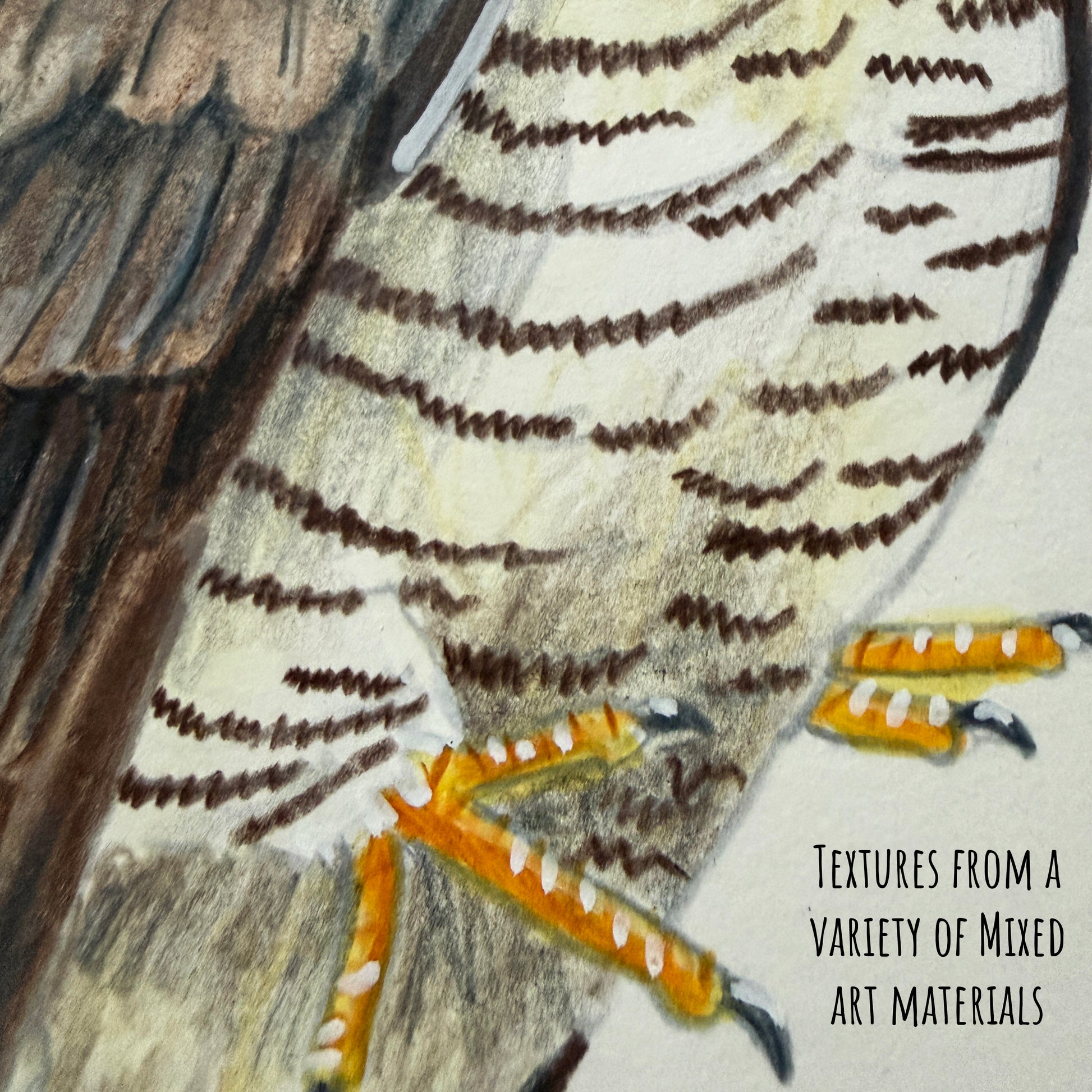 A close of the common cuckoo bird showing the details and textures of the artwork and paper stock.