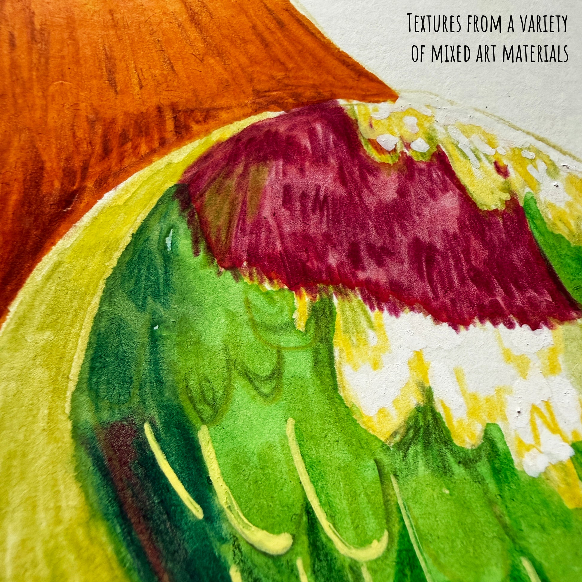 A close of the Ornate fruit dove bird showing the details and textures of the artwork and paper stock.