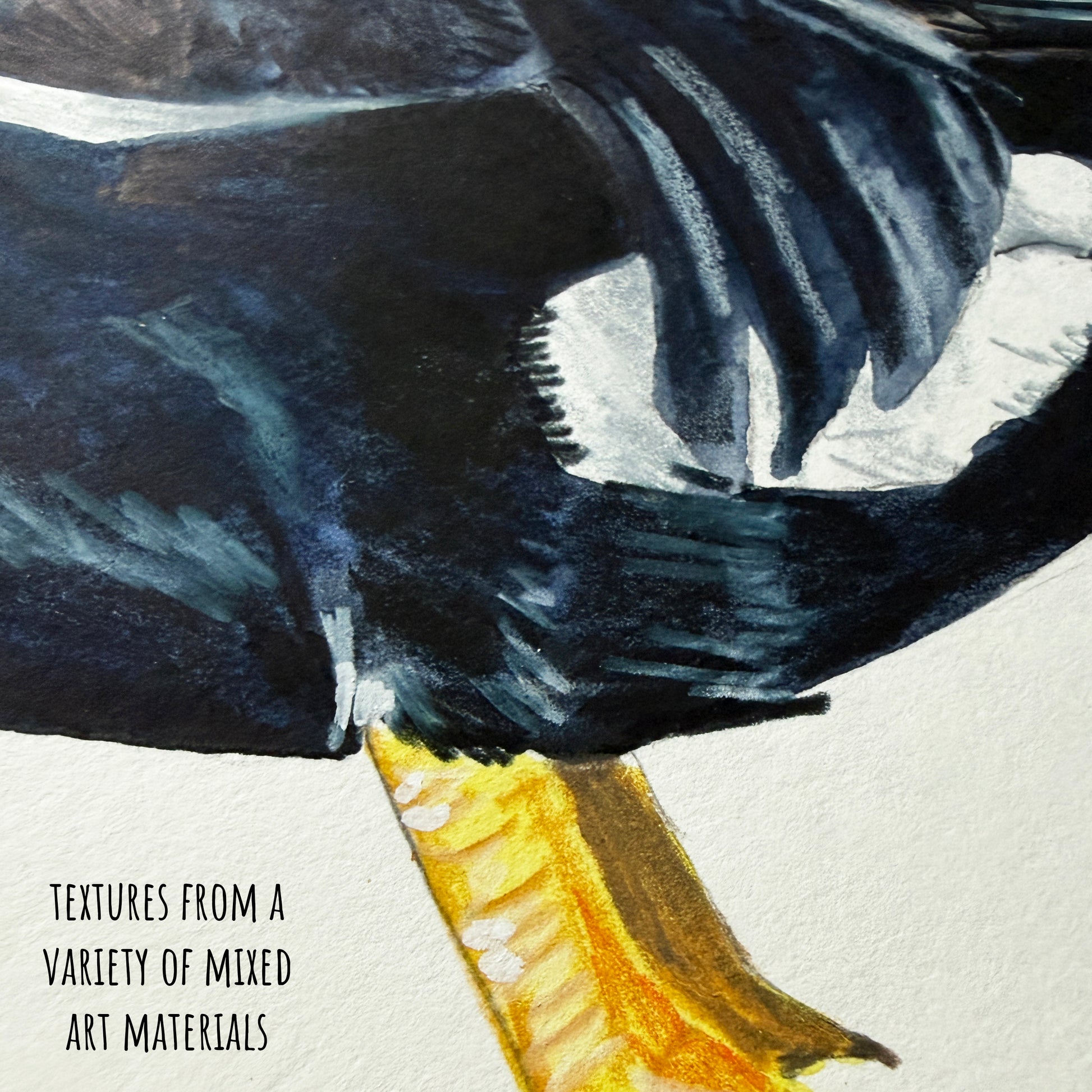 Close-up of a King Eider Duck wing with detailed textures on a light background