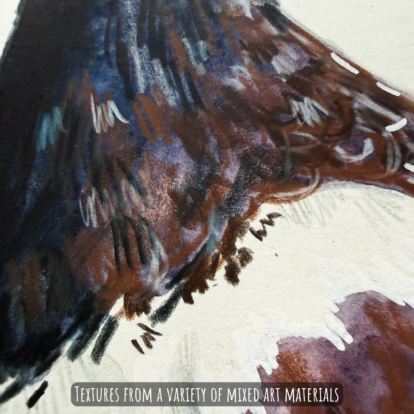 A close of the oyster catcher bird showing the details and textures of the artwork and paper stock.